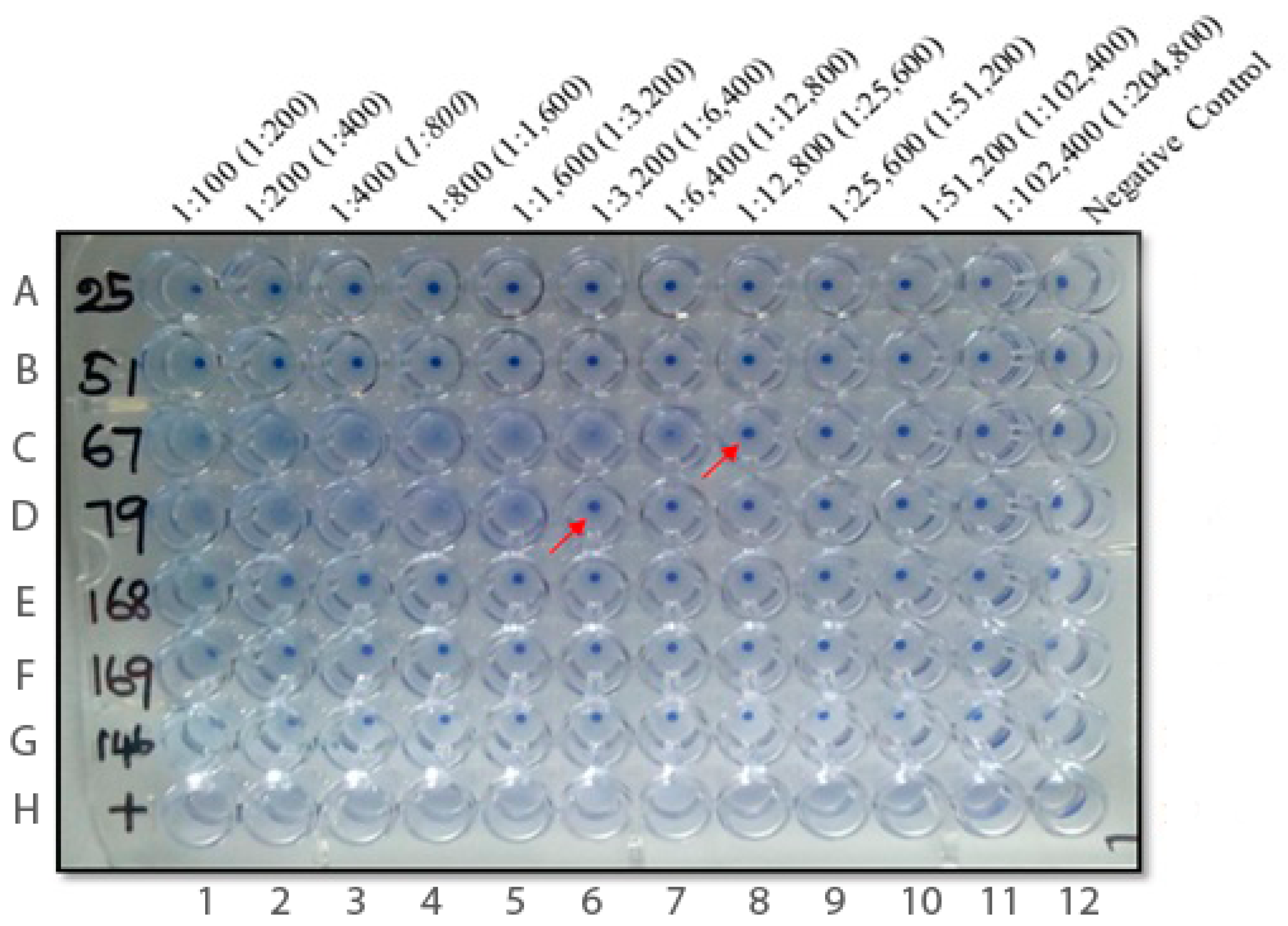 Pathogens 11 01553 g001 Pathogens 11 01553 g001
