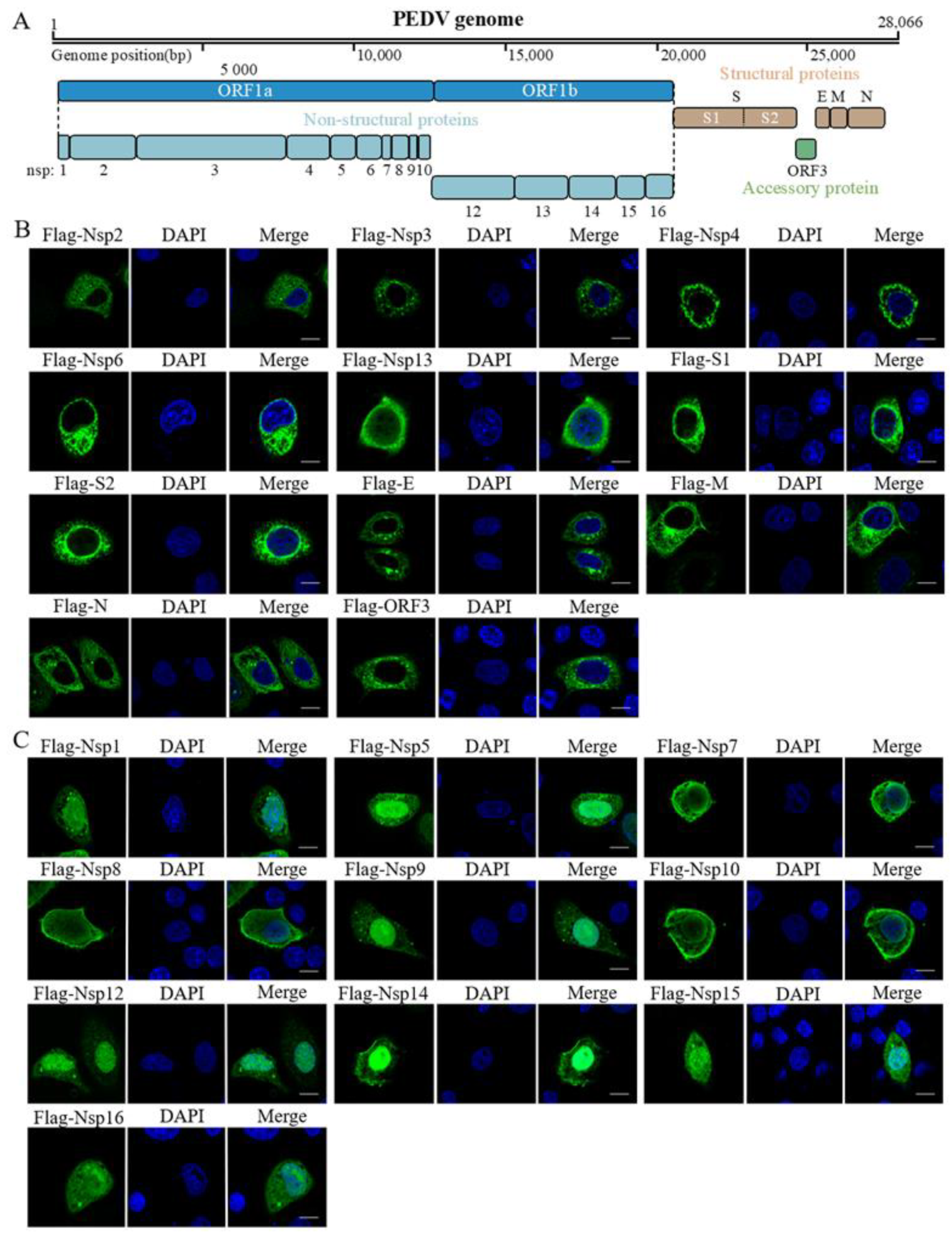 Pathogens 11 01555 g001 Pathogens 11 01555 g001