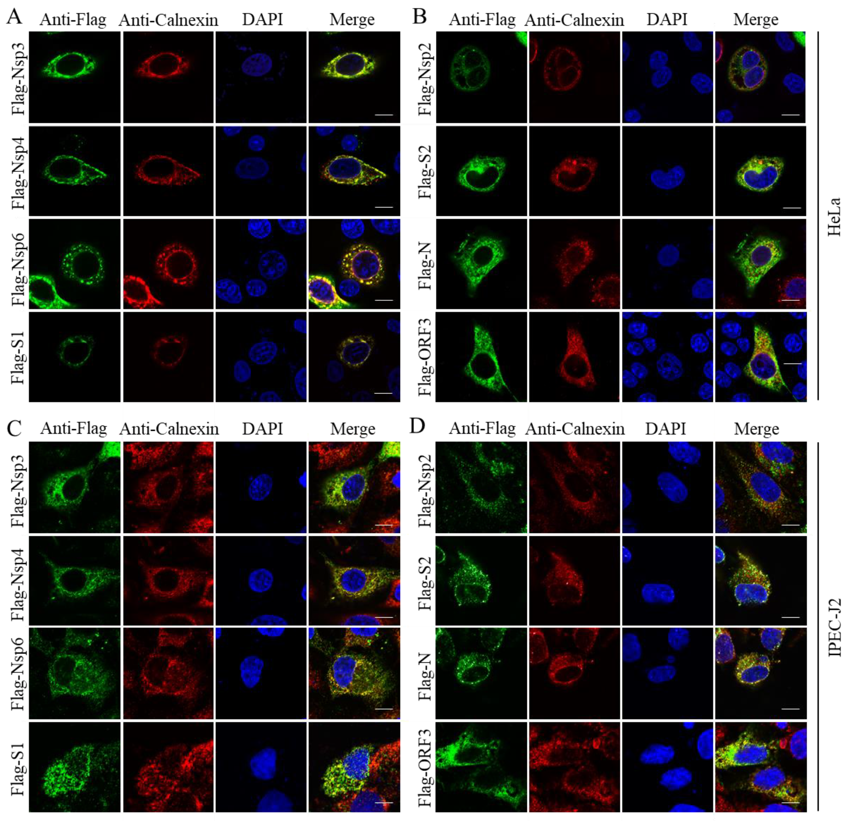 Pathogens 11 01555 g002 Pathogens 11 01555 g002