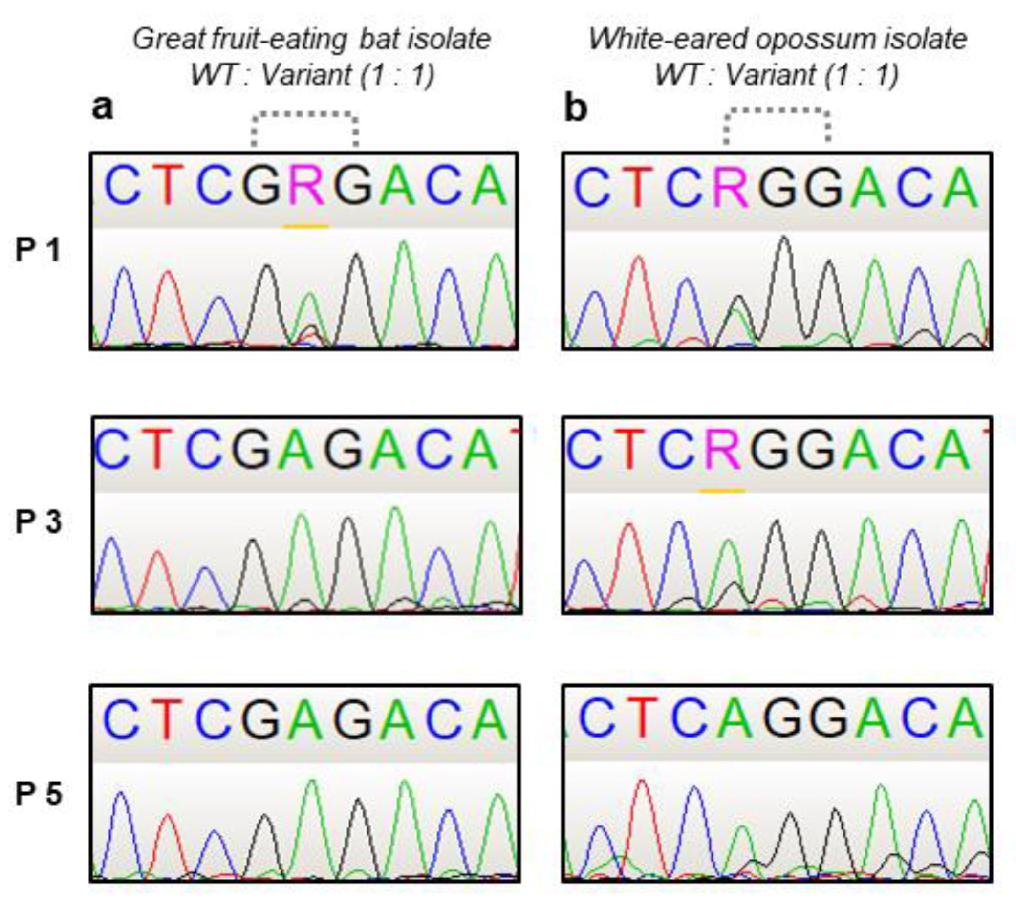 Pathogens 11 01556 g003 Pathogens 11 01556 g003
