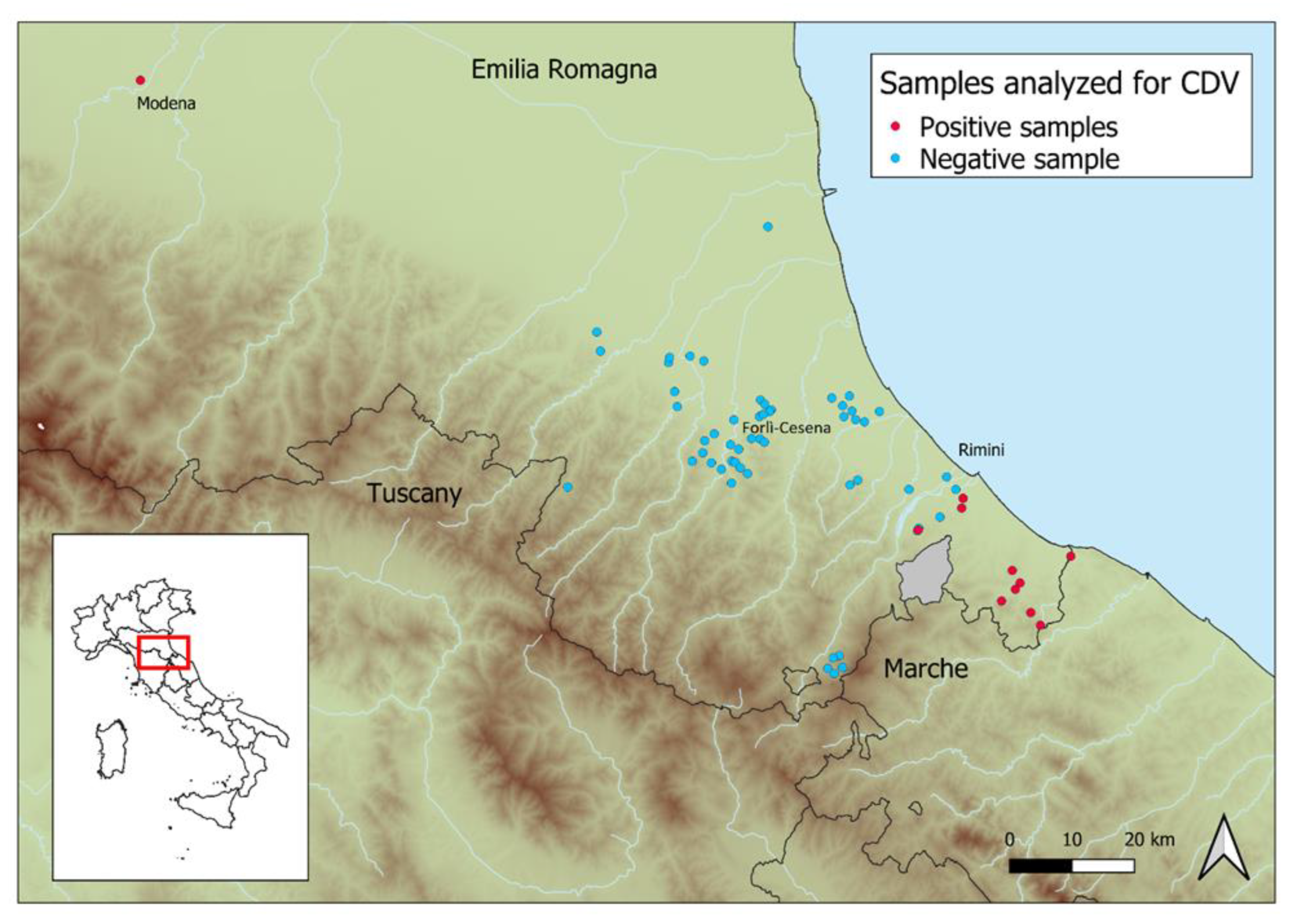 Pathogens 11 01557 g001 Pathogens 11 01557 g001