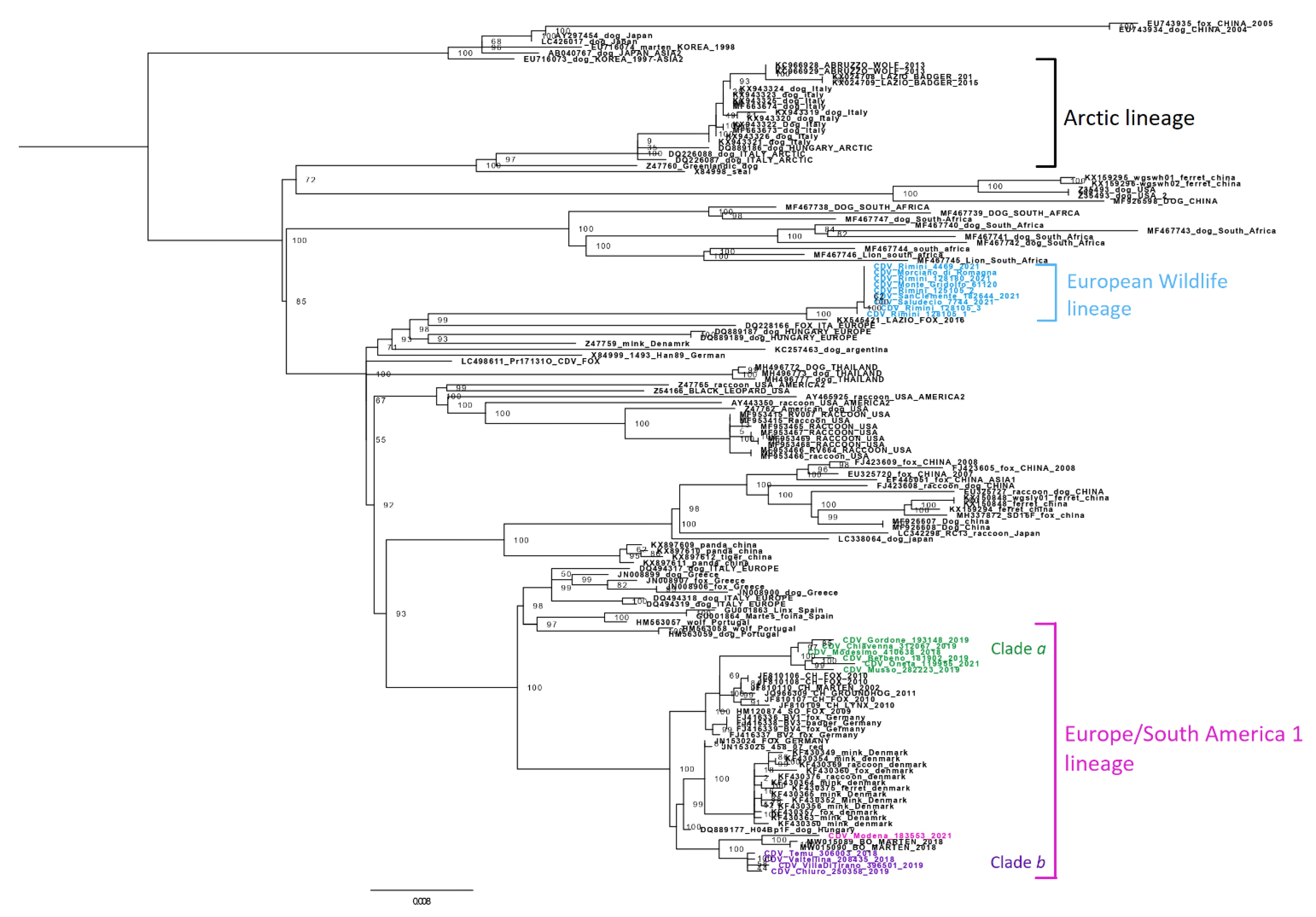 Pathogens 11 01557 g002 Pathogens 11 01557 g002
