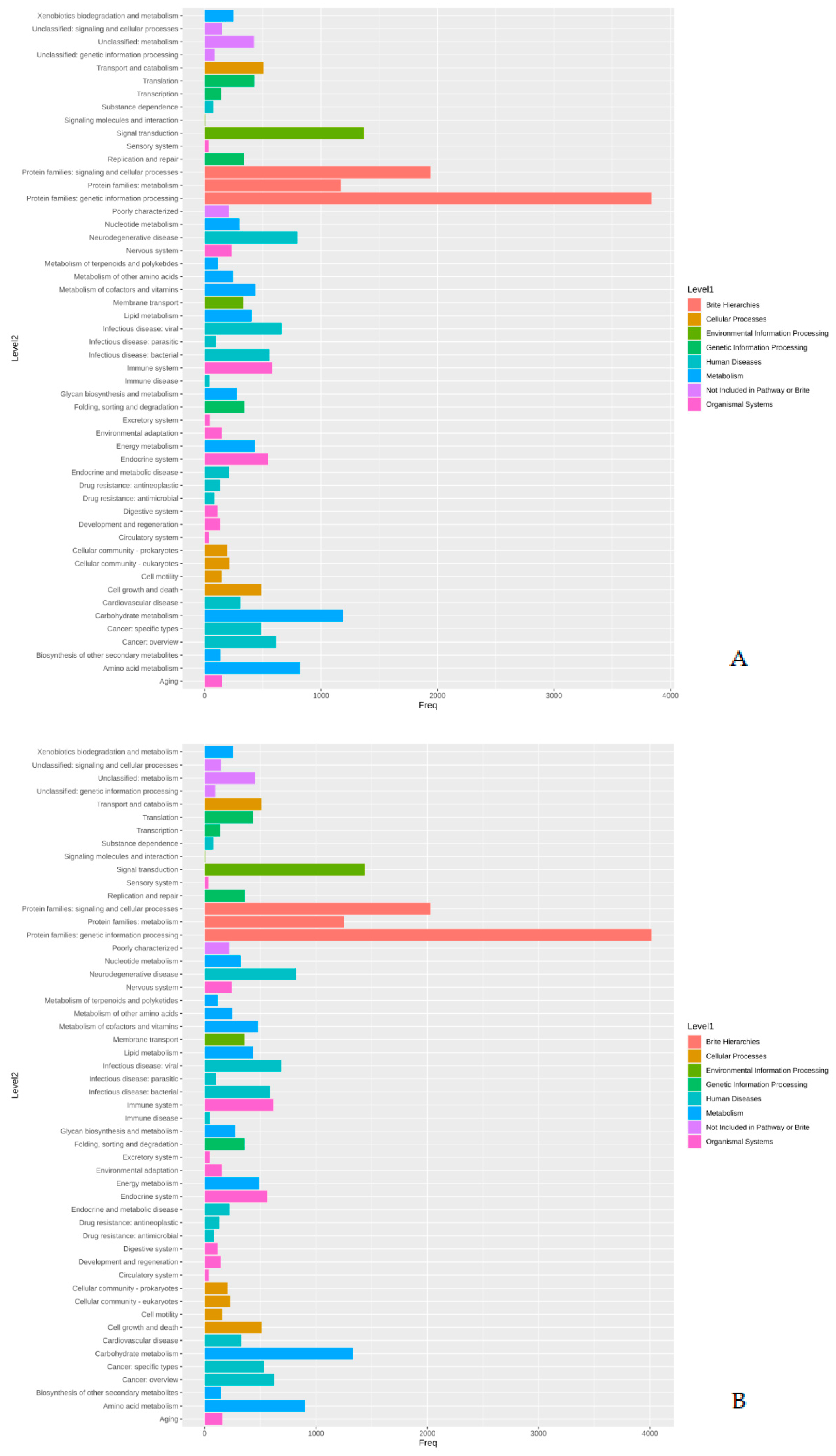 Pathogens 11 01558 g001a Pathogens 11 01558 g001a