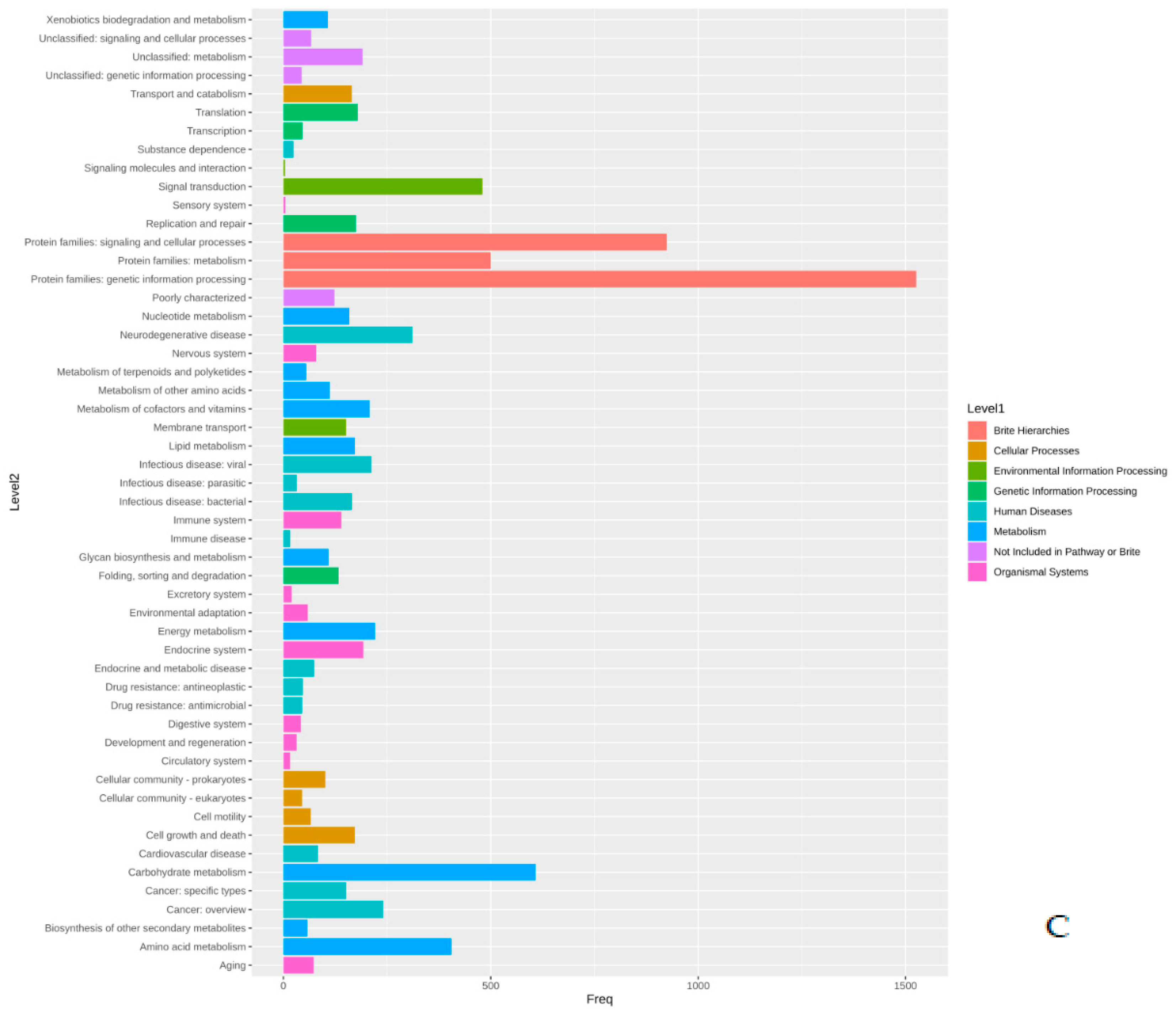 Pathogens 11 01558 g001b Pathogens 11 01558 g001b