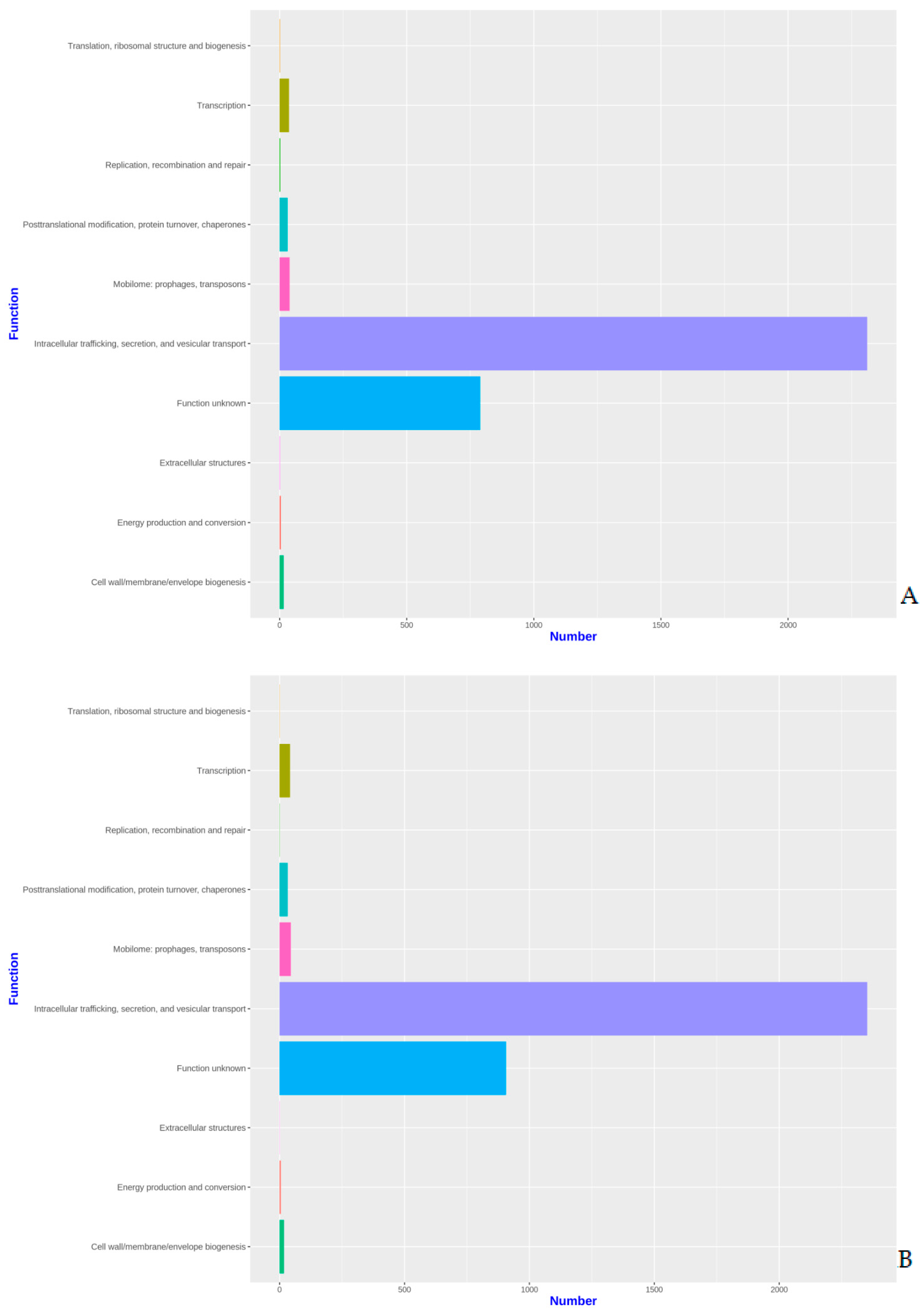 Pathogens 11 01558 g002a Pathogens 11 01558 g002a