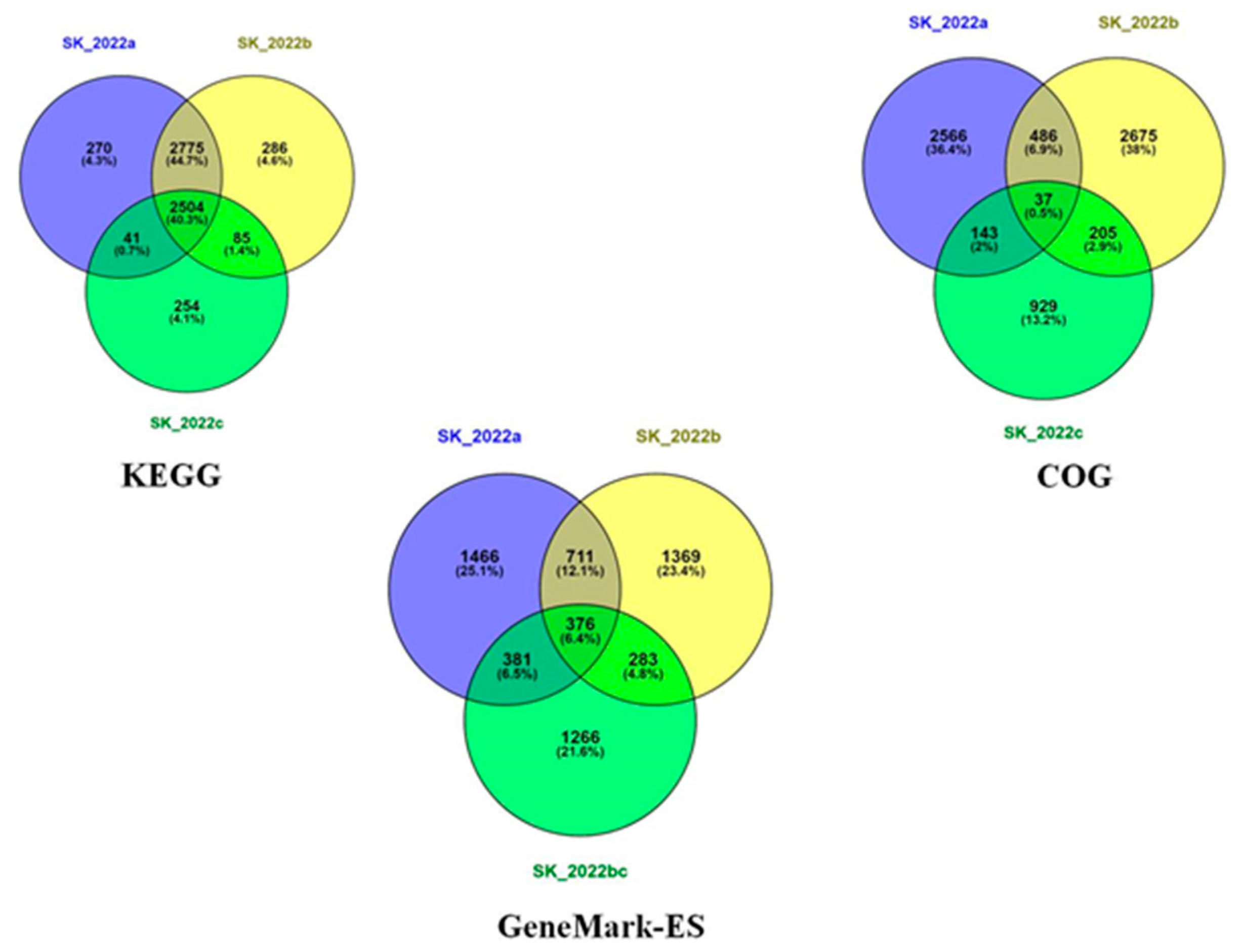 Pathogens 11 01558 g003 Pathogens 11 01558 g003