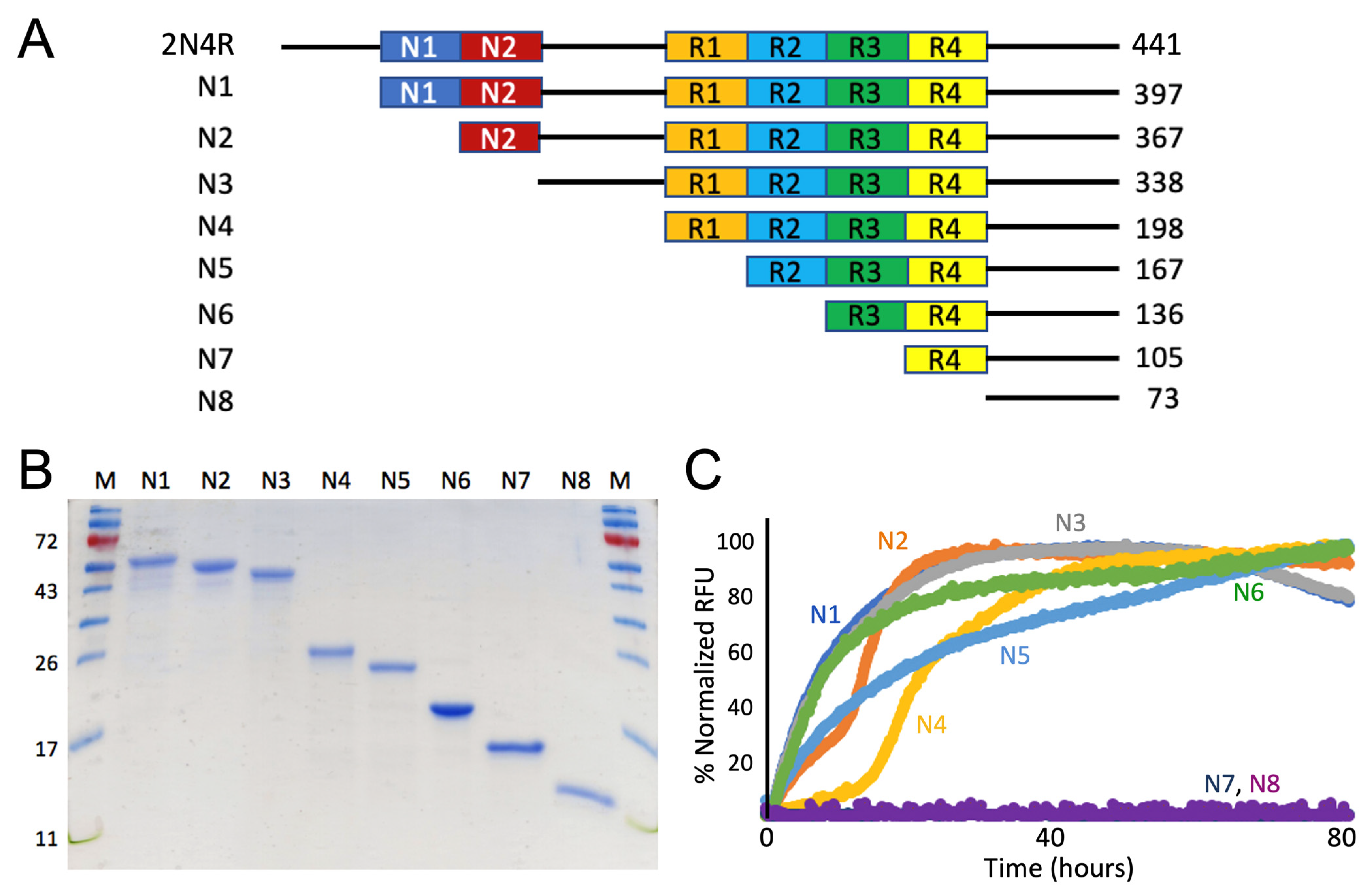 Pathogens 11 01559 g002