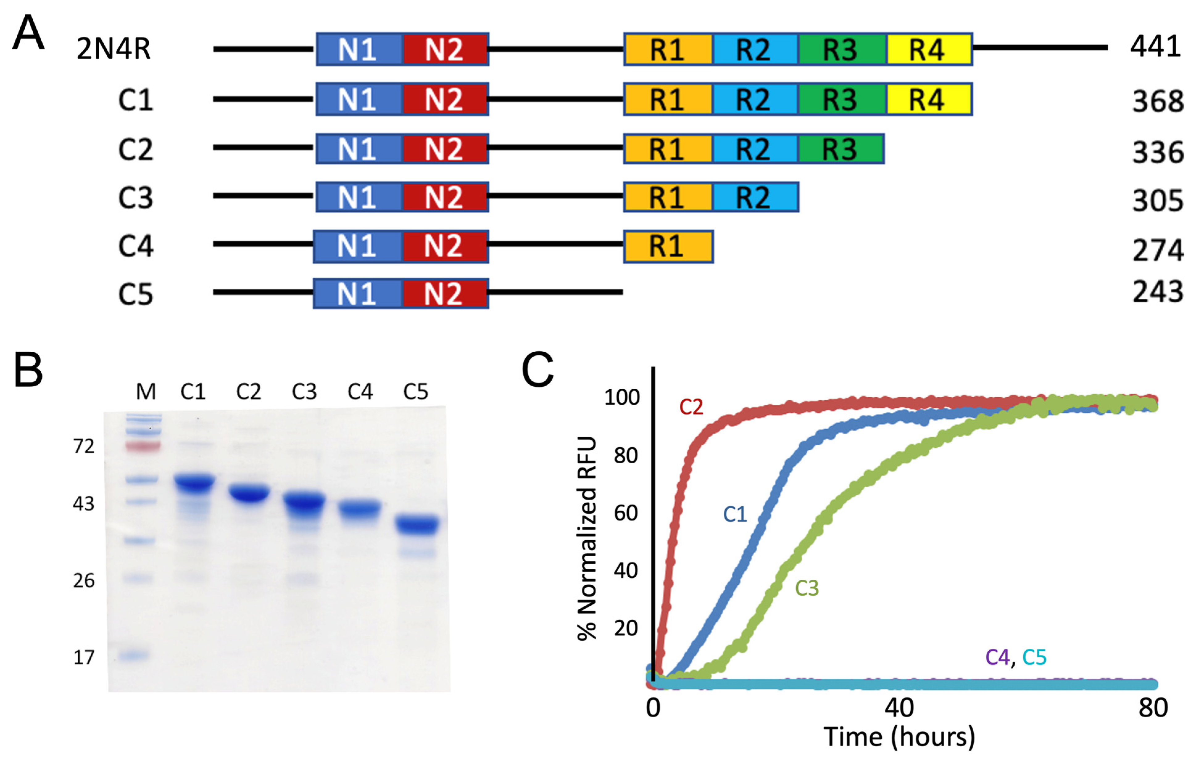 Pathogens 11 01559 g003