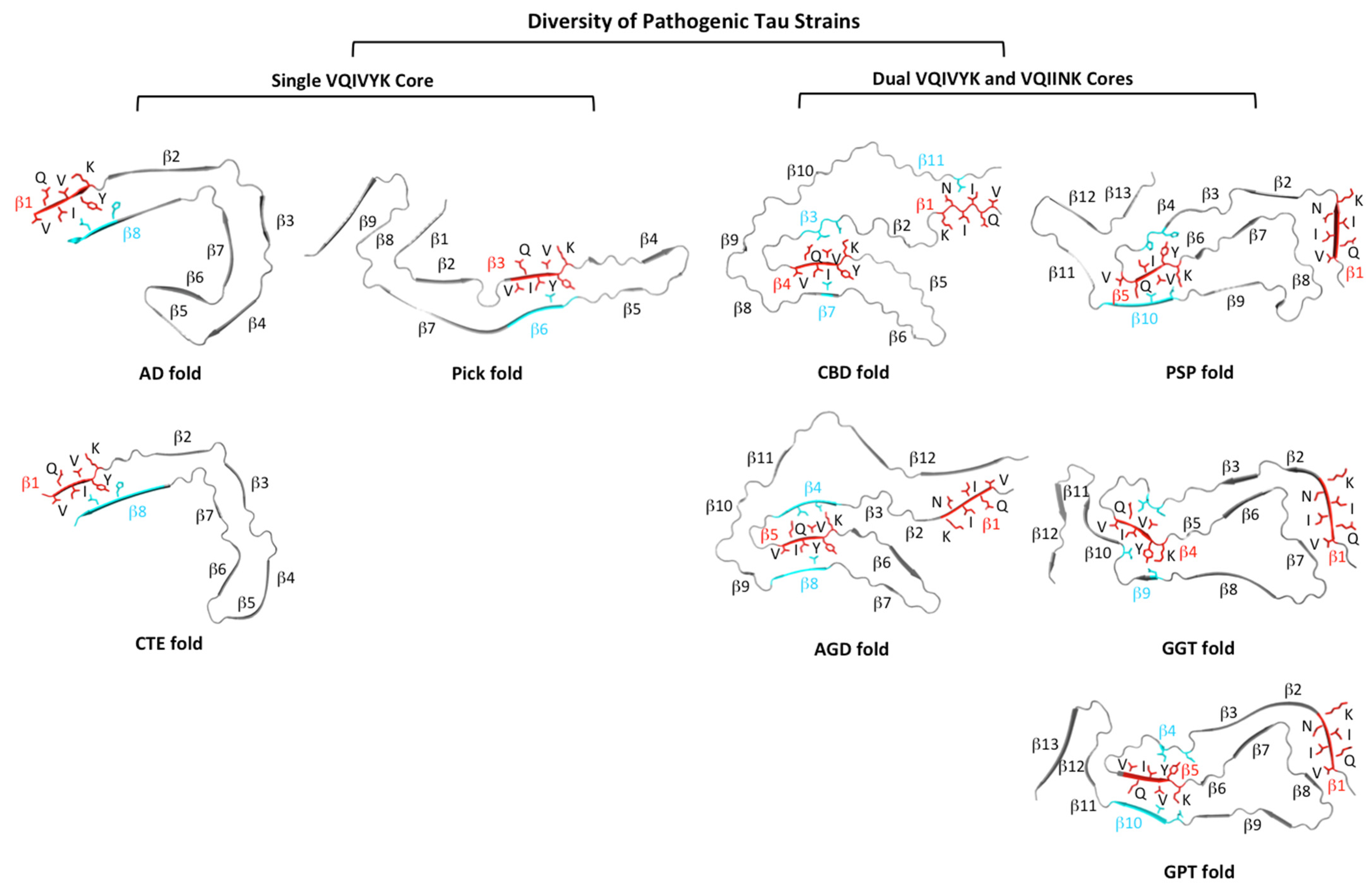 Pathogens 11 01559 g005