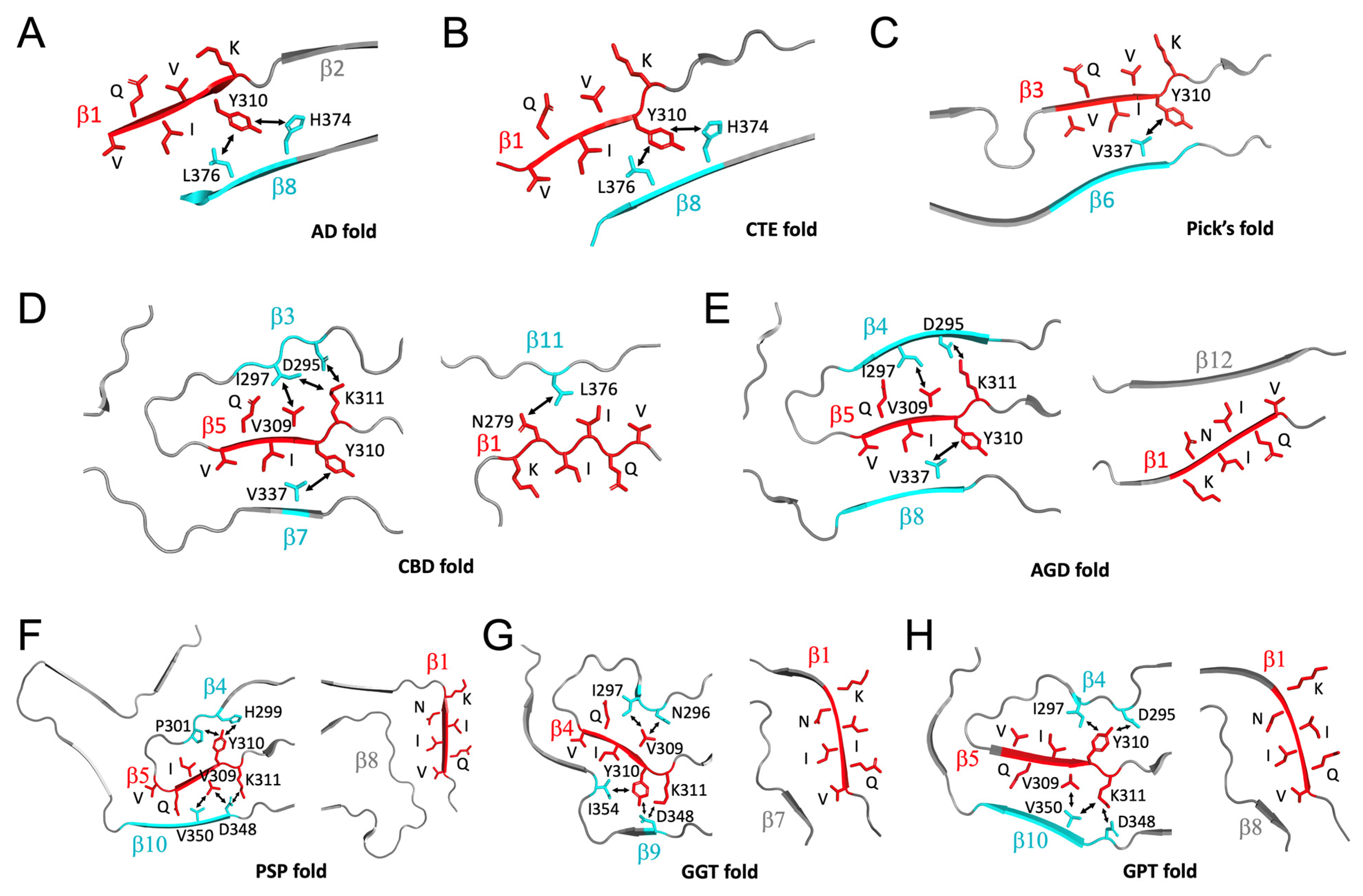 Pathogens 11 01559 g006