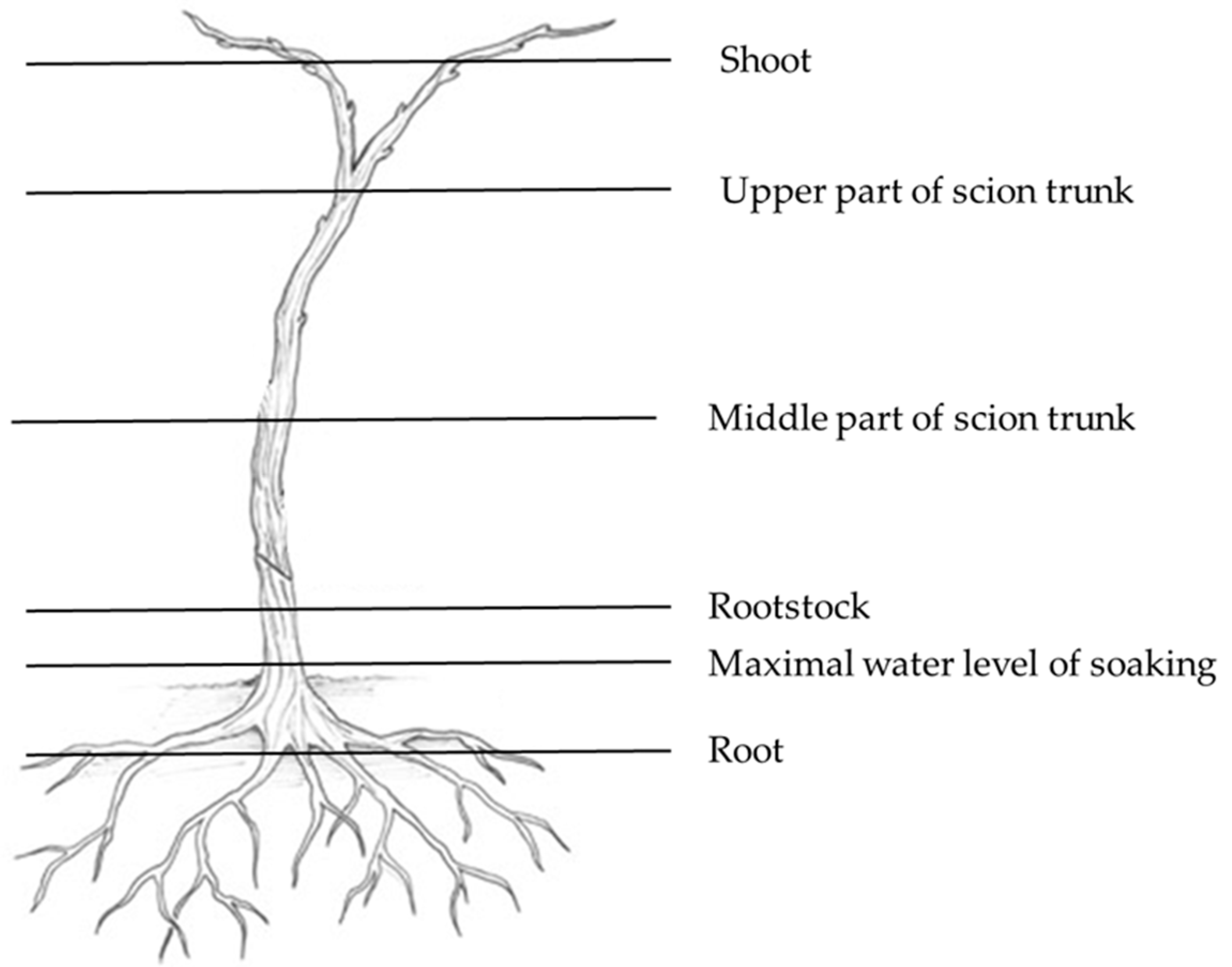 Pathogens 12 00002 g002 Pathogens 12 00002 g002