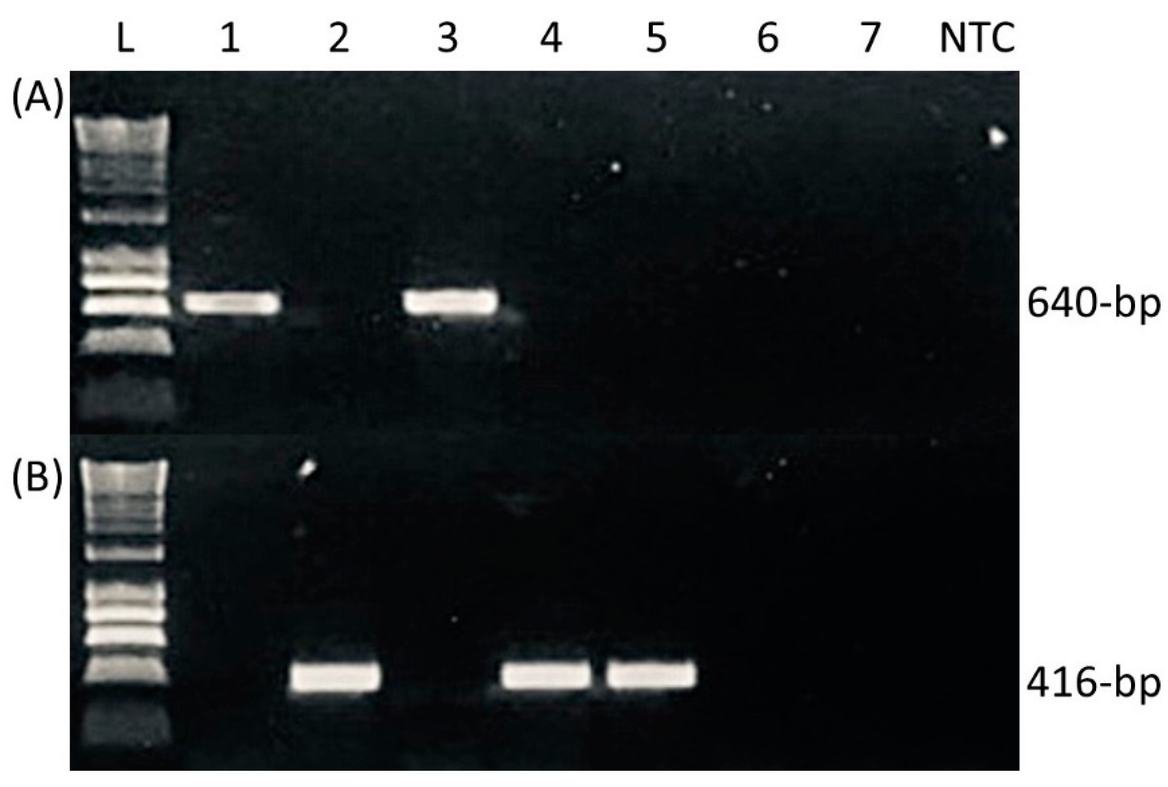 Pathogens 12 00003 g001