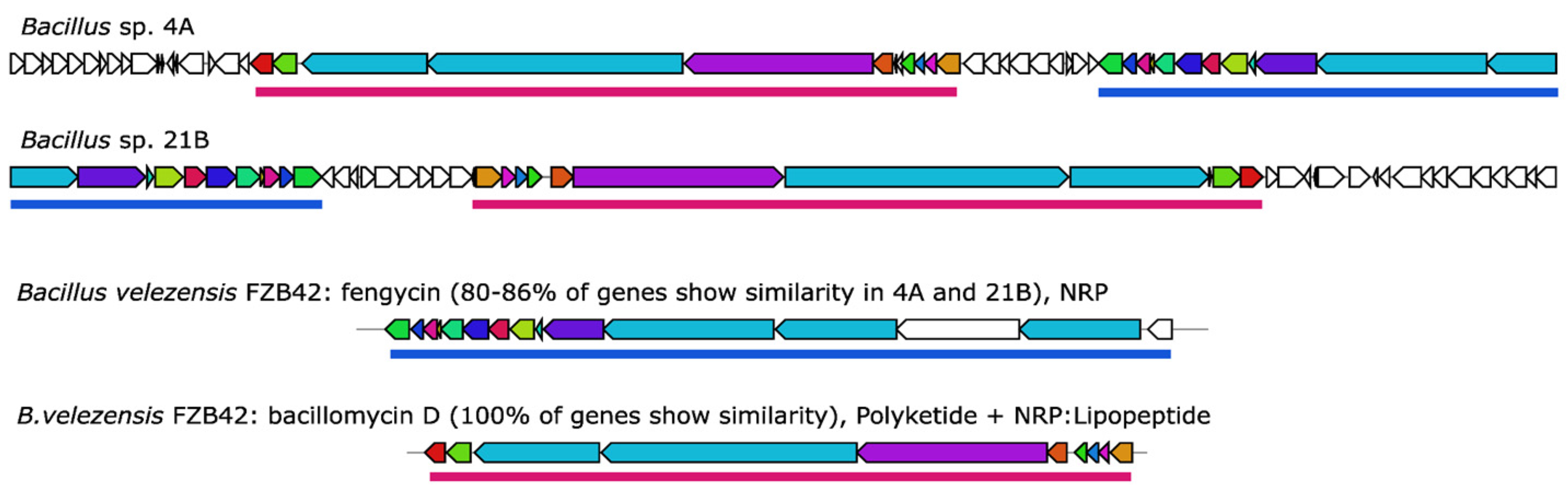 Pathogens 12 00013 g004 Pathogens 12 00013 g004