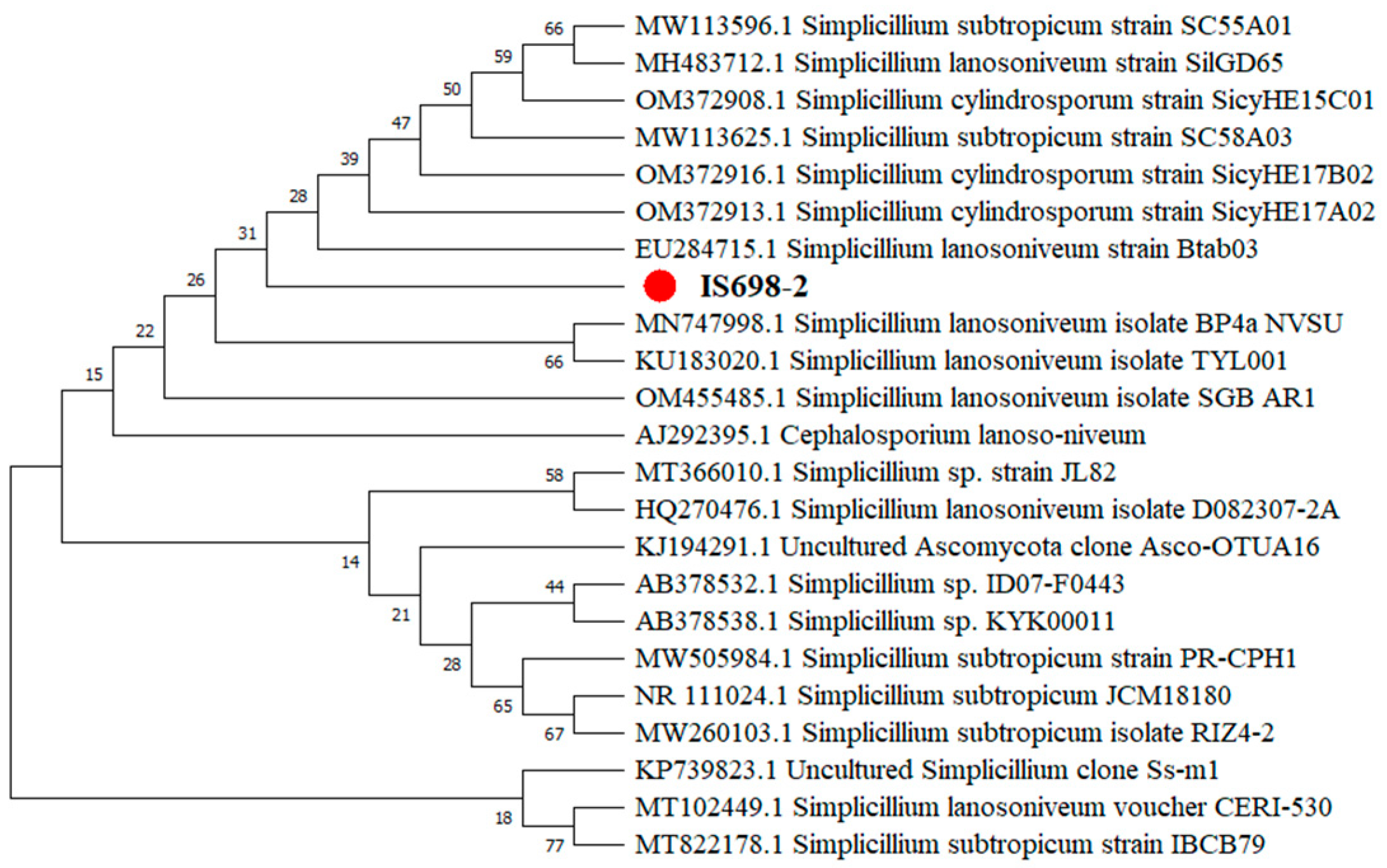 Pathogens 12 00022 g002