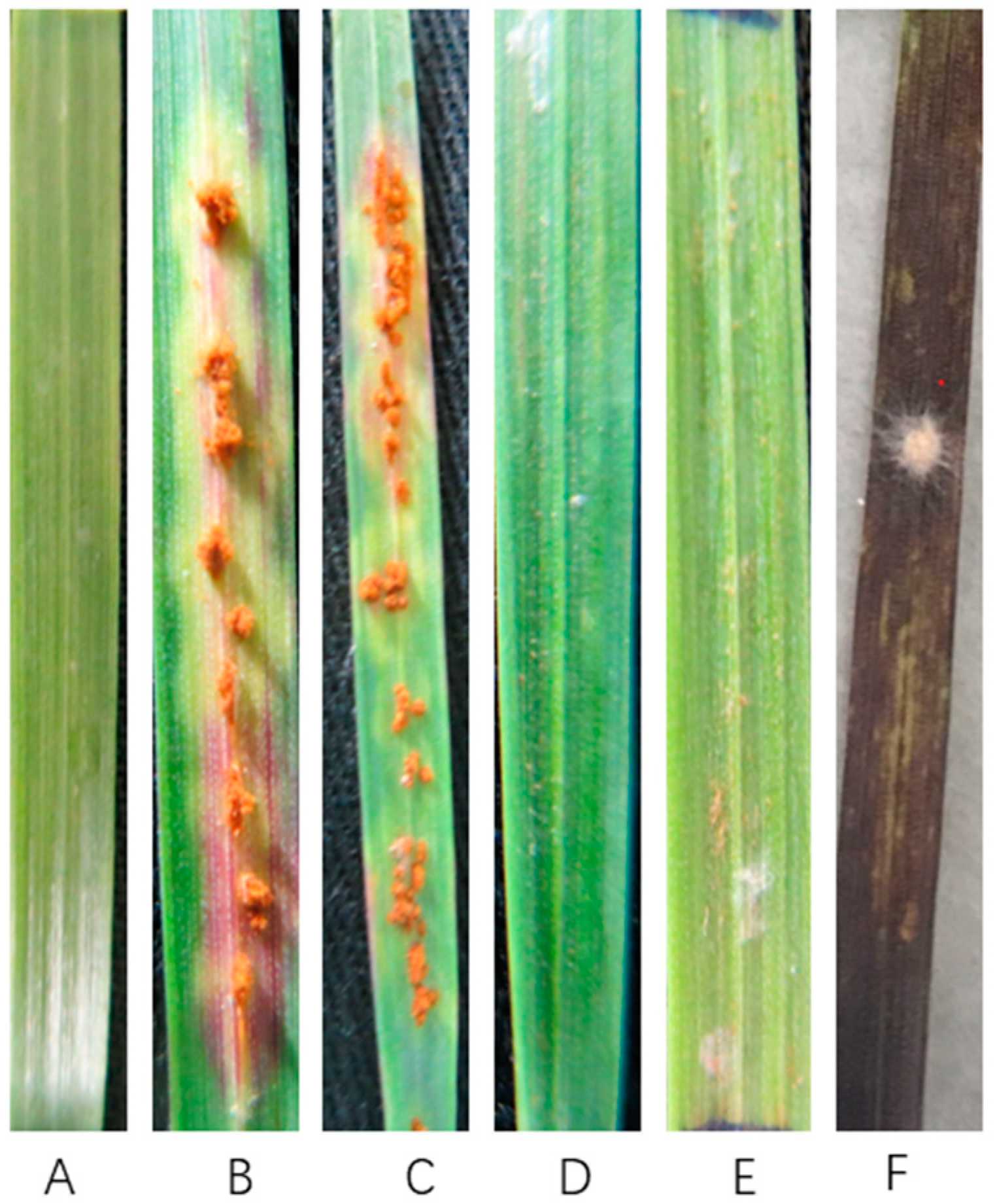 Pathogens 12 00022 g003