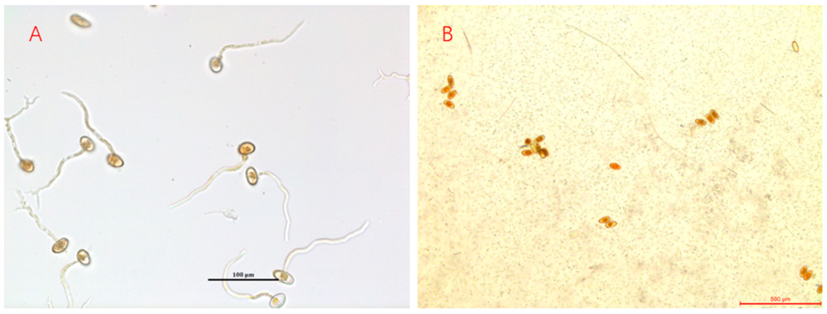 Pathogens 12 00022 g004