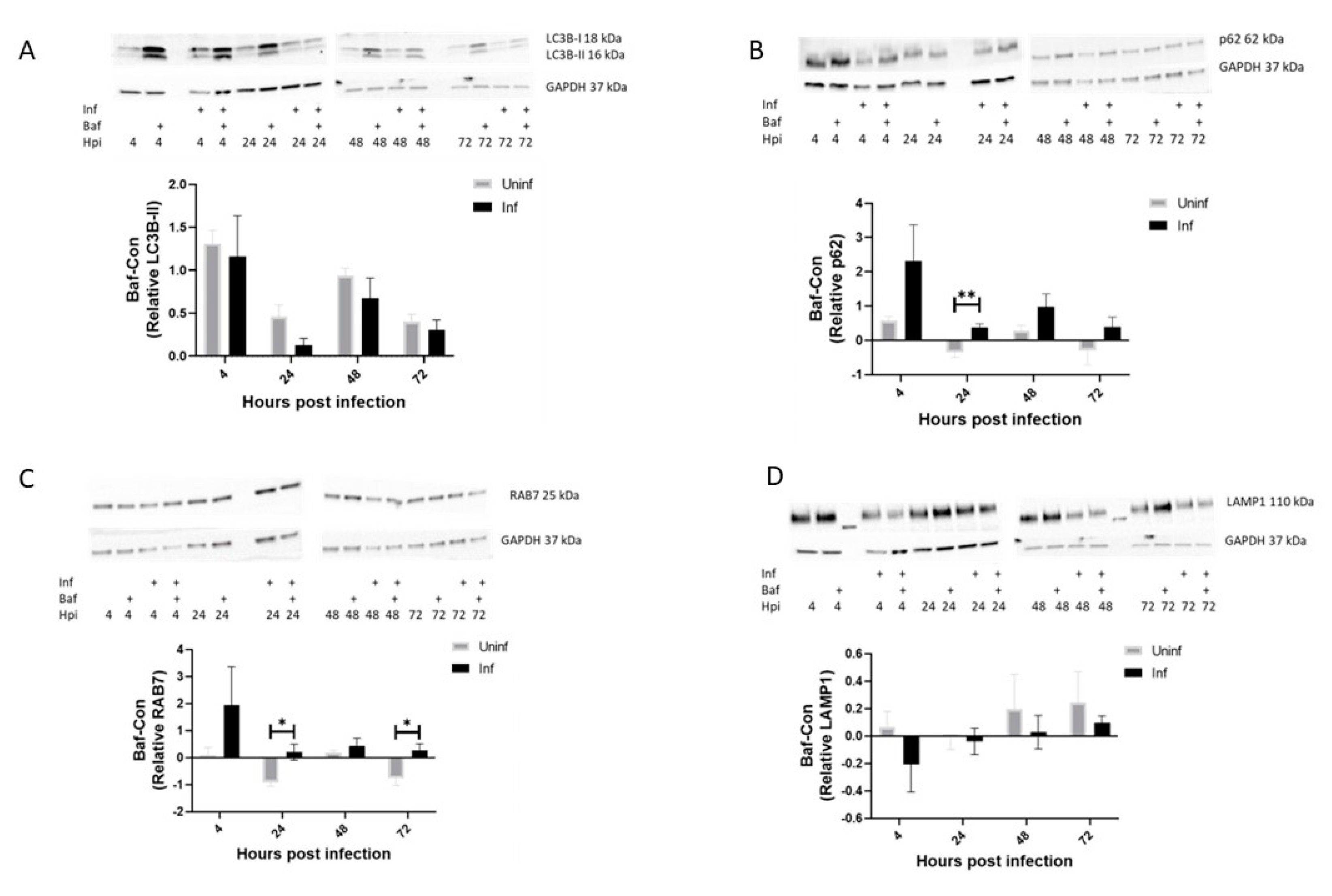 Pathogens 12 00024 g001 Pathogens 12 00024 g001