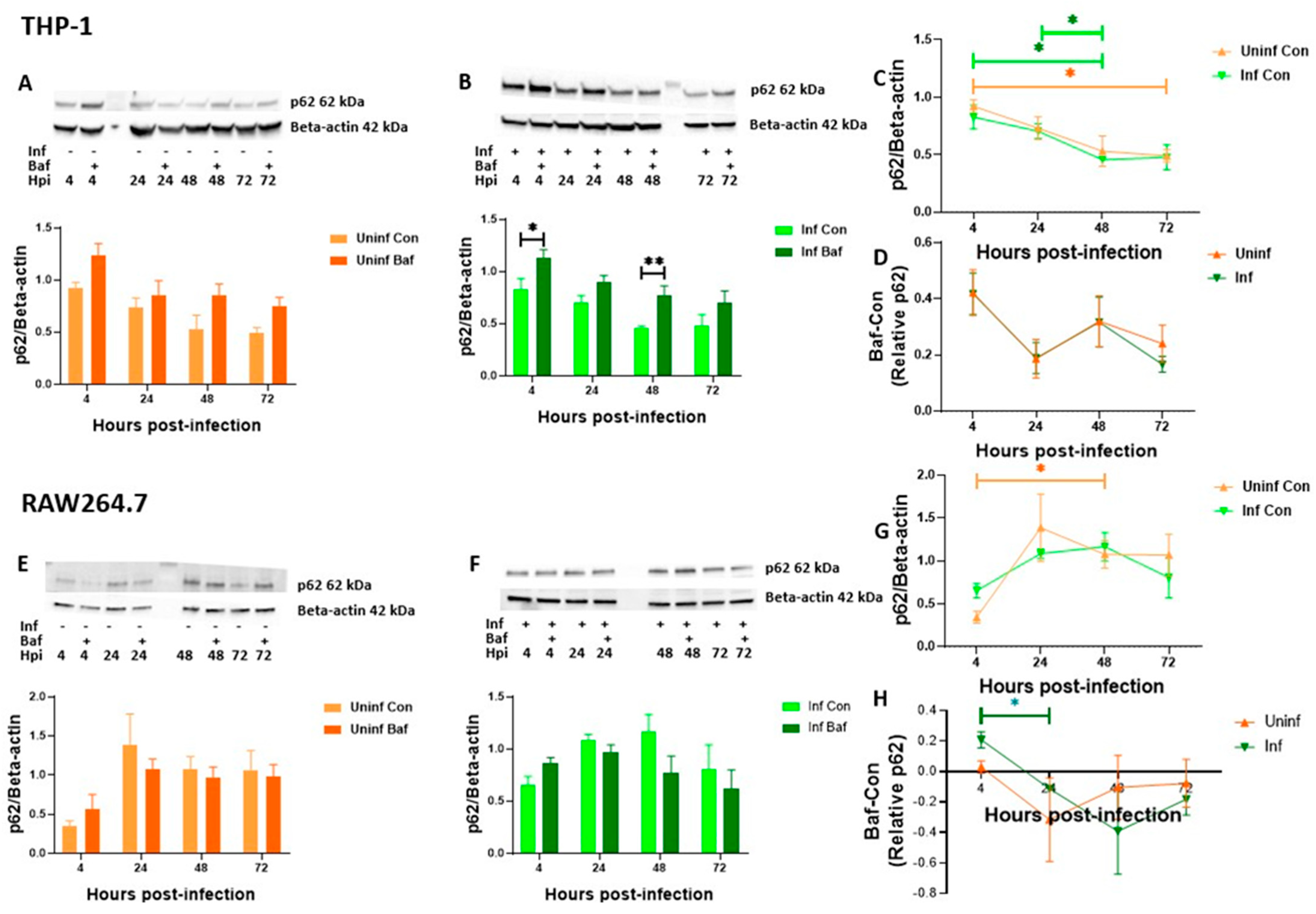 Pathogens 12 00024 g003 Pathogens 12 00024 g003