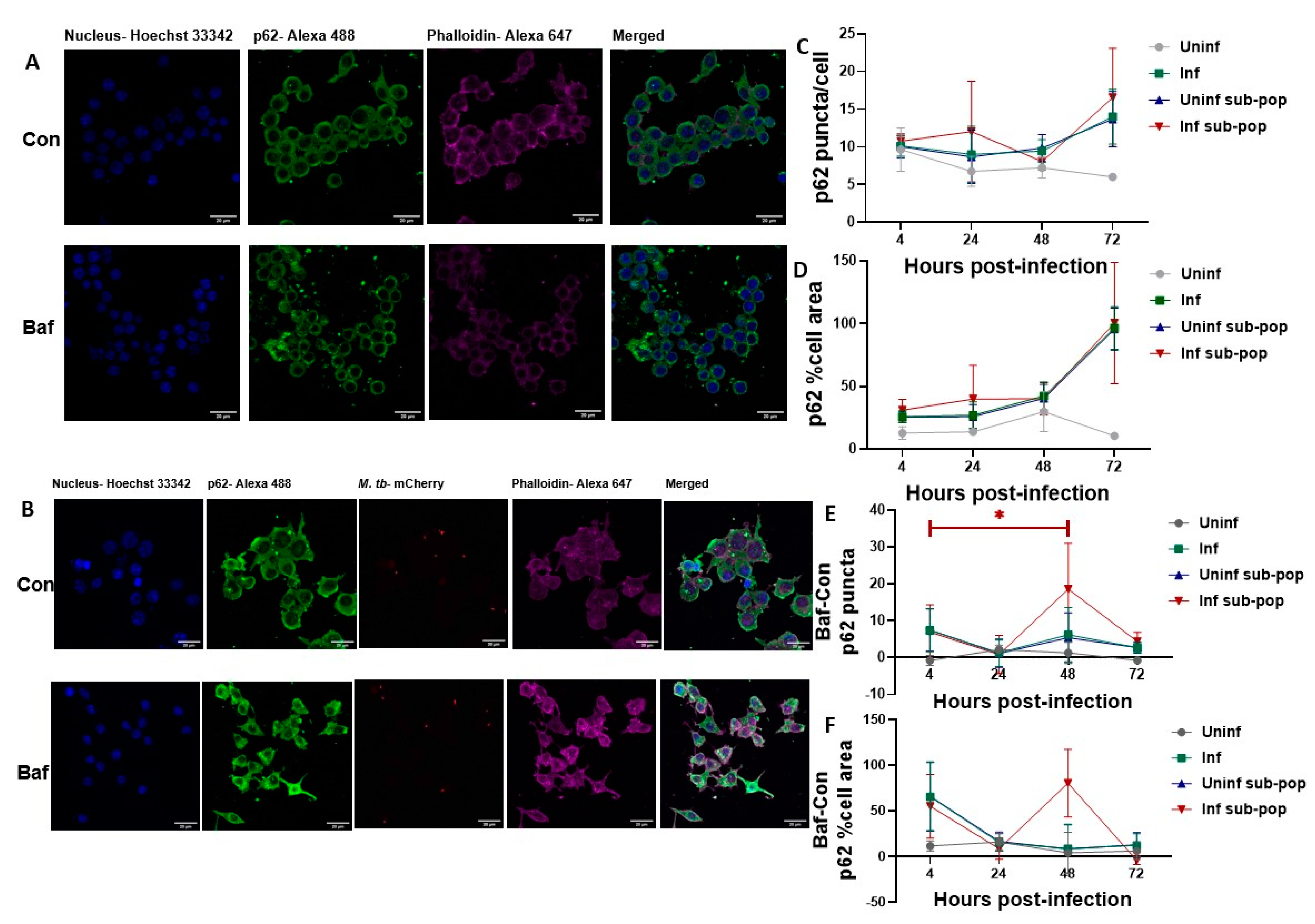 Pathogens 12 00024 g005 Pathogens 12 00024 g005