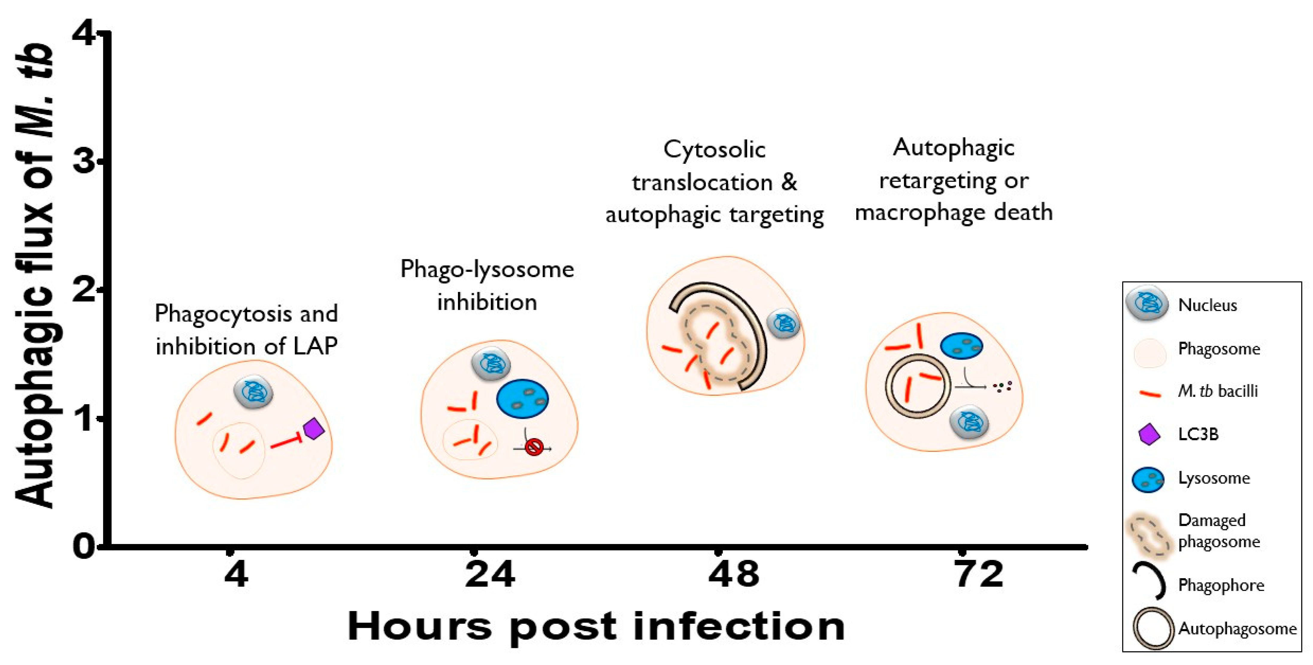 Pathogens 12 00024 g007 Pathogens 12 00024 g007