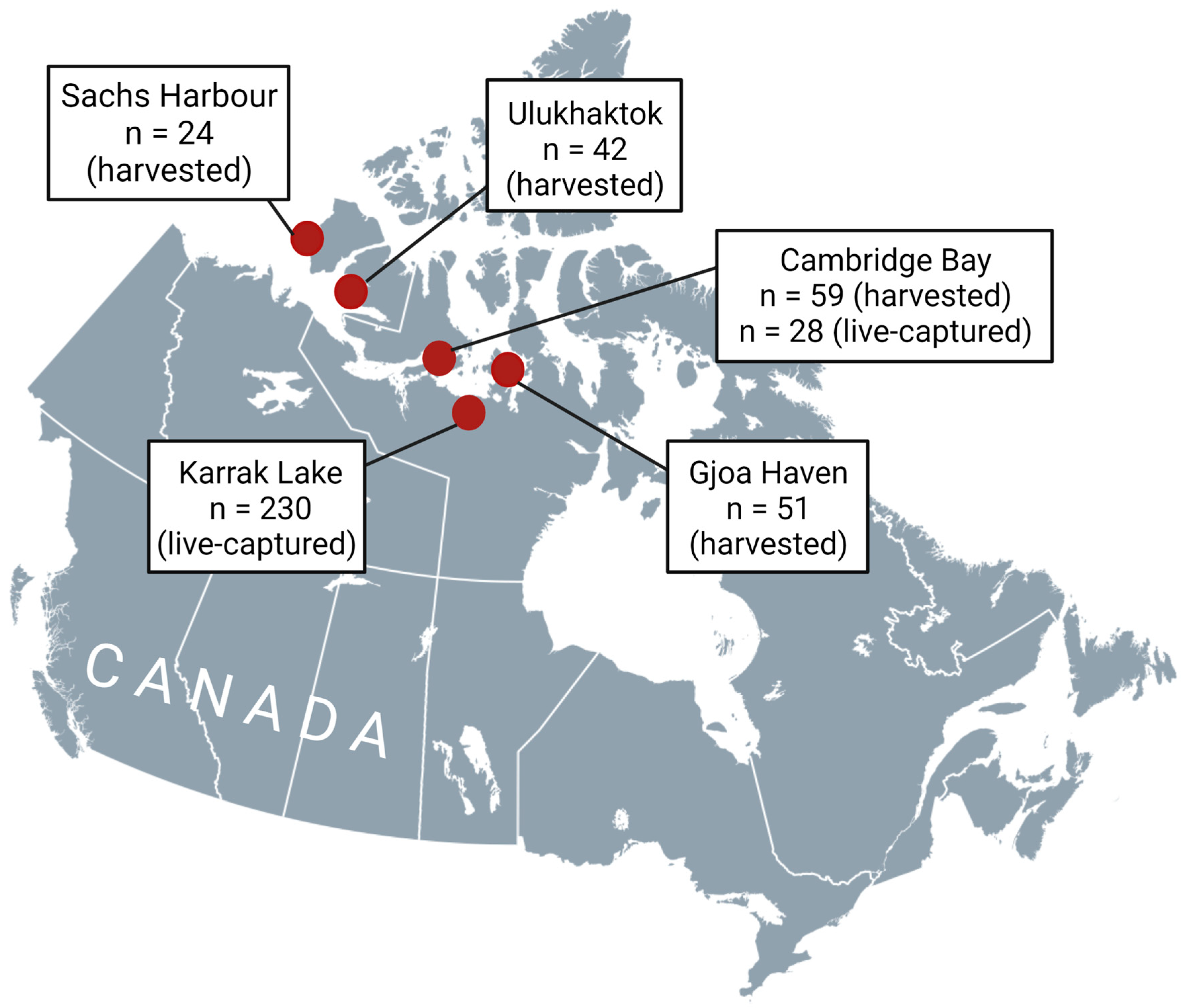Pathogens 12 00028 g003 Pathogens 12 00028 g003