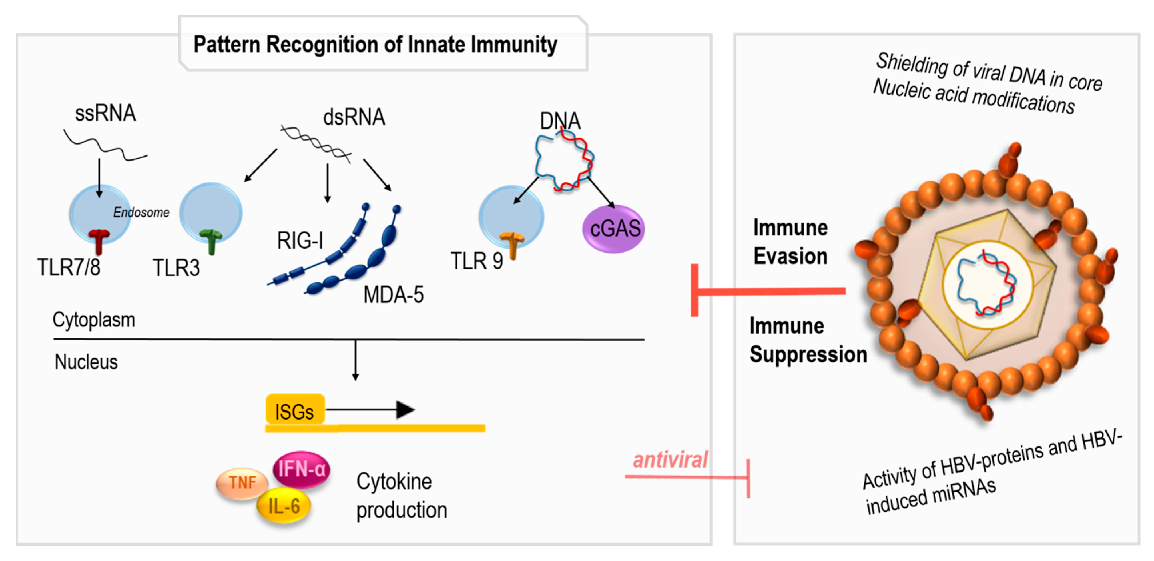 Pathogens 12 00029 g002 Pathogens 12 00029 g002
