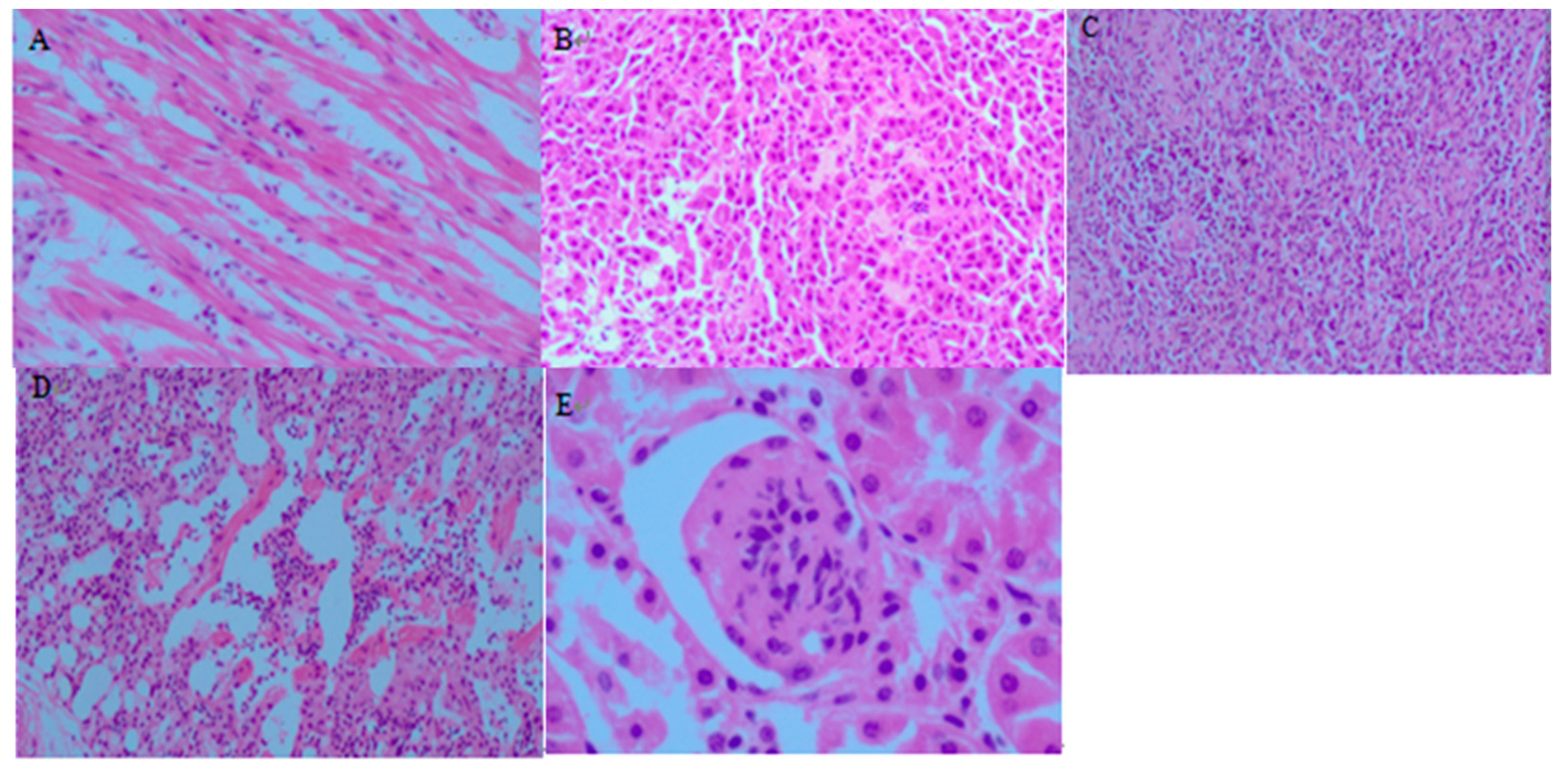 Pathogens 12 00030 g002 Pathogens 12 00030 g002