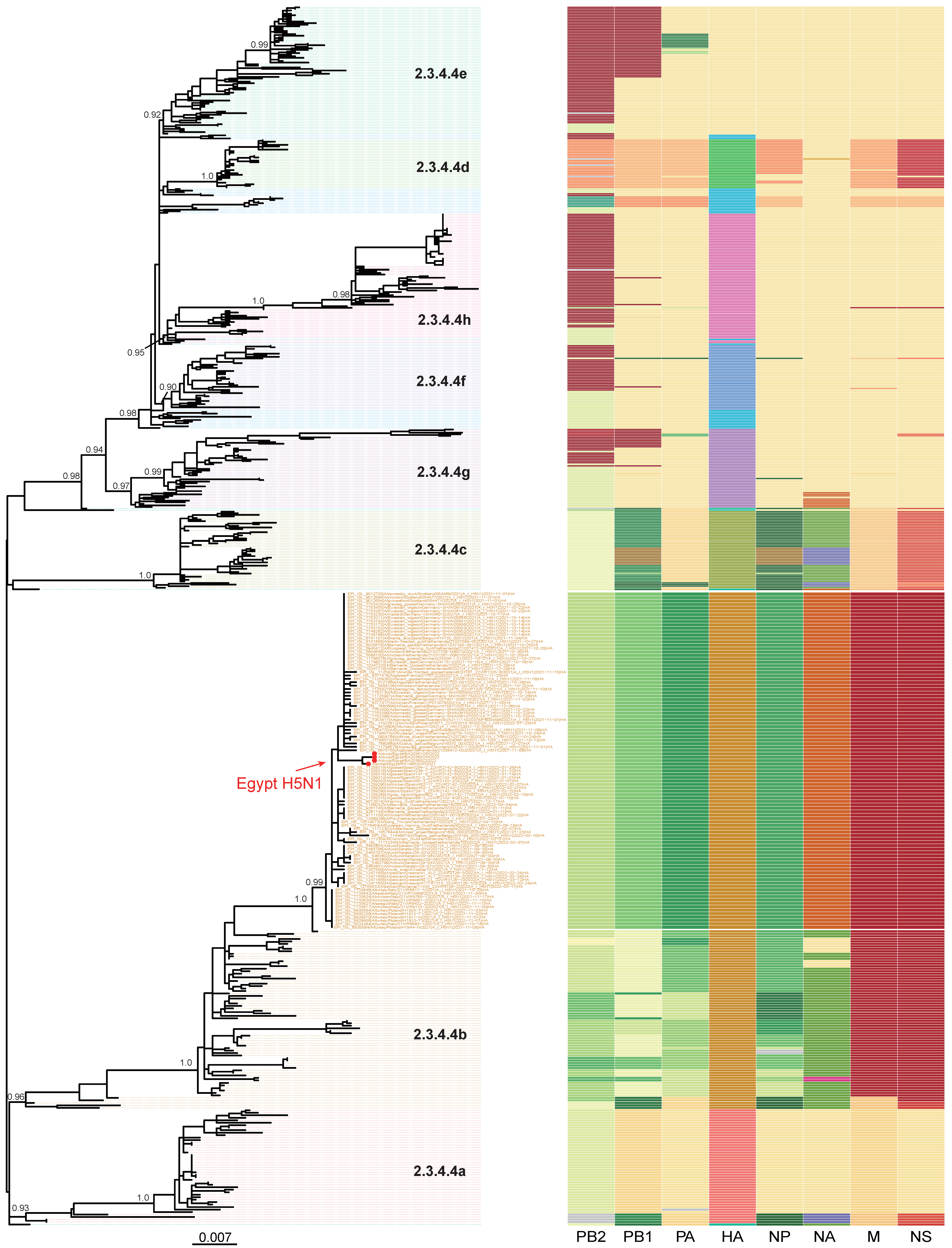 Pathogens 12 00036 g001 Pathogens 12 00036 g001