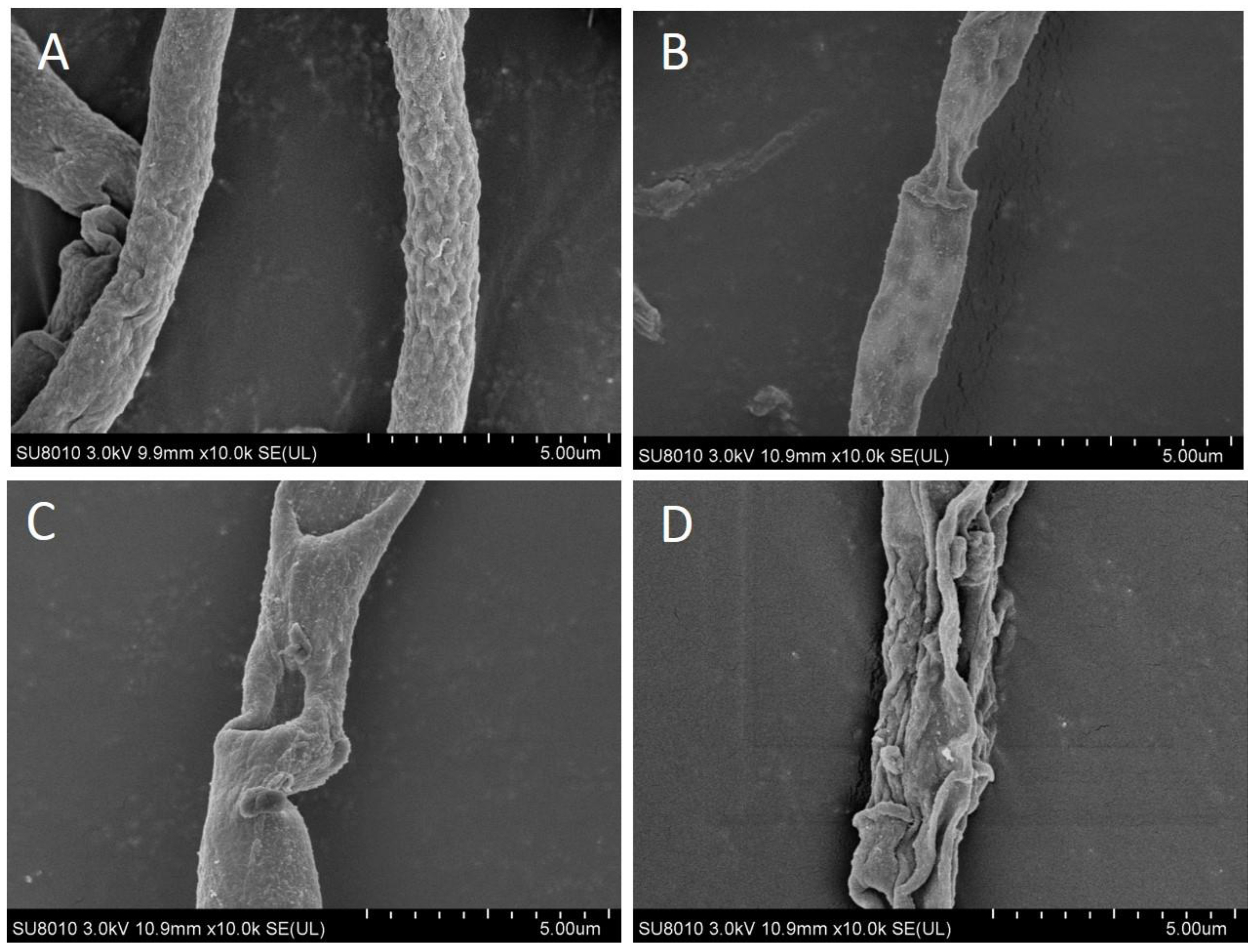 Pathogens 12 00037 g002 Pathogens 12 00037 g002