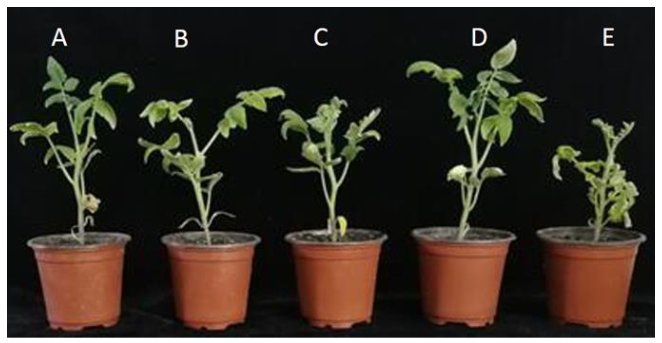Pathogens 12 00037 g005 Pathogens 12 00037 g005