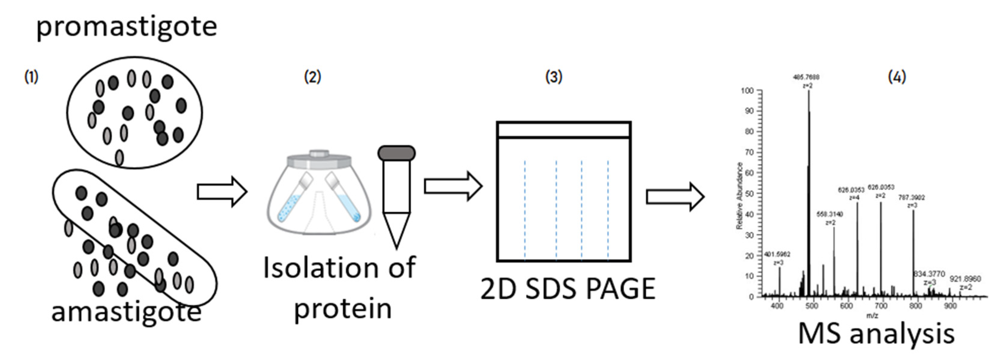 Pathogens 12 00039 g003 Pathogens 12 00039 g003