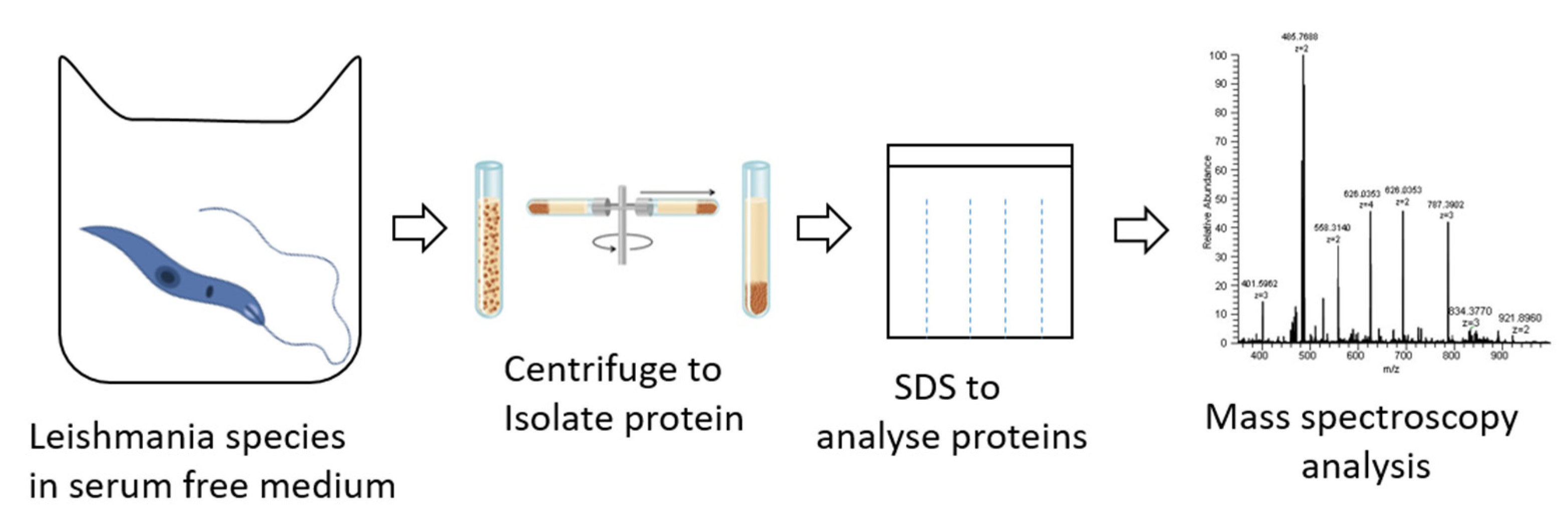 Pathogens 12 00039 g004 Pathogens 12 00039 g004