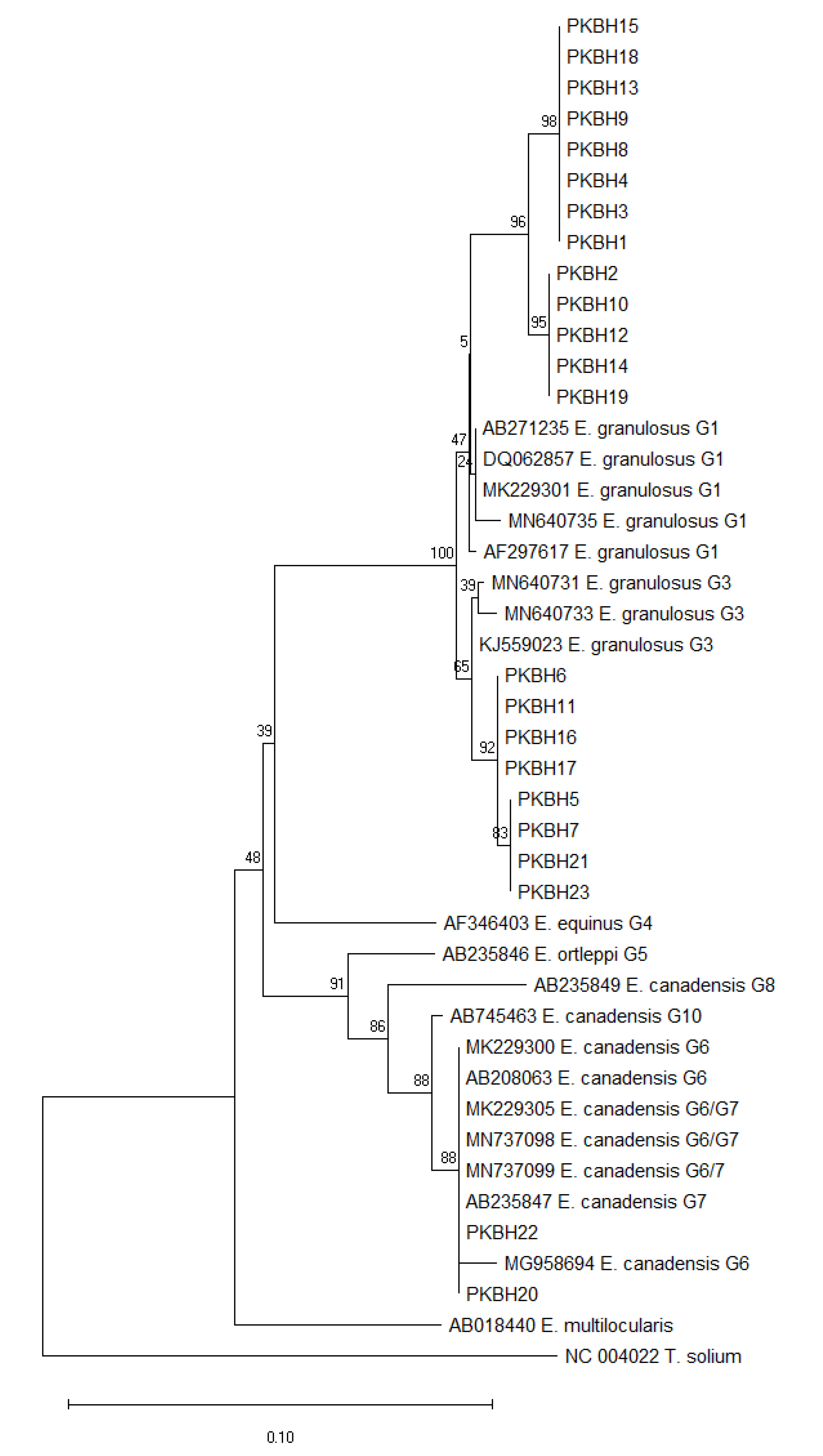 Pathogens 12 00040 g002 Pathogens 12 00040 g002