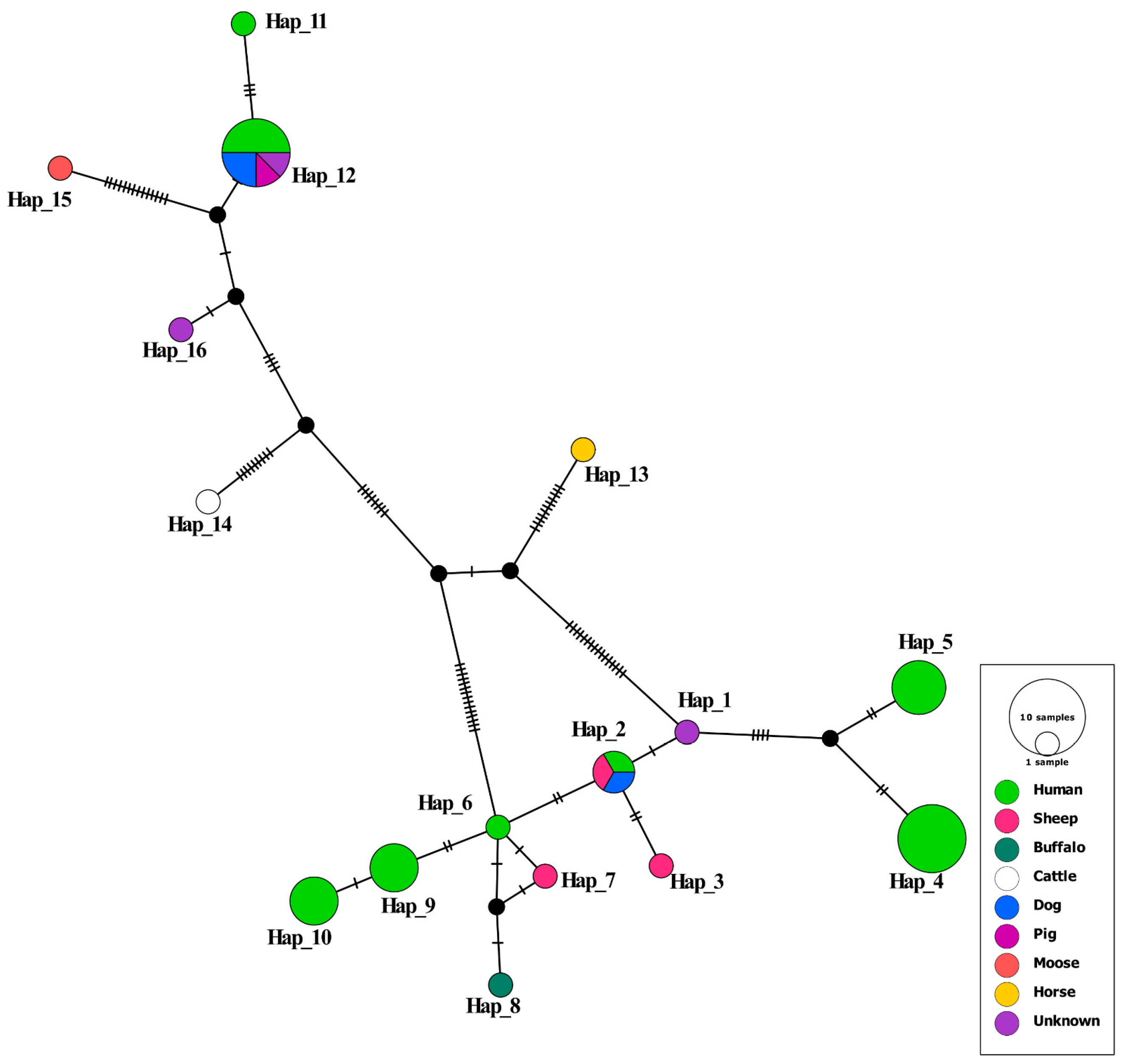 Pathogens 12 00040 g004 Pathogens 12 00040 g004