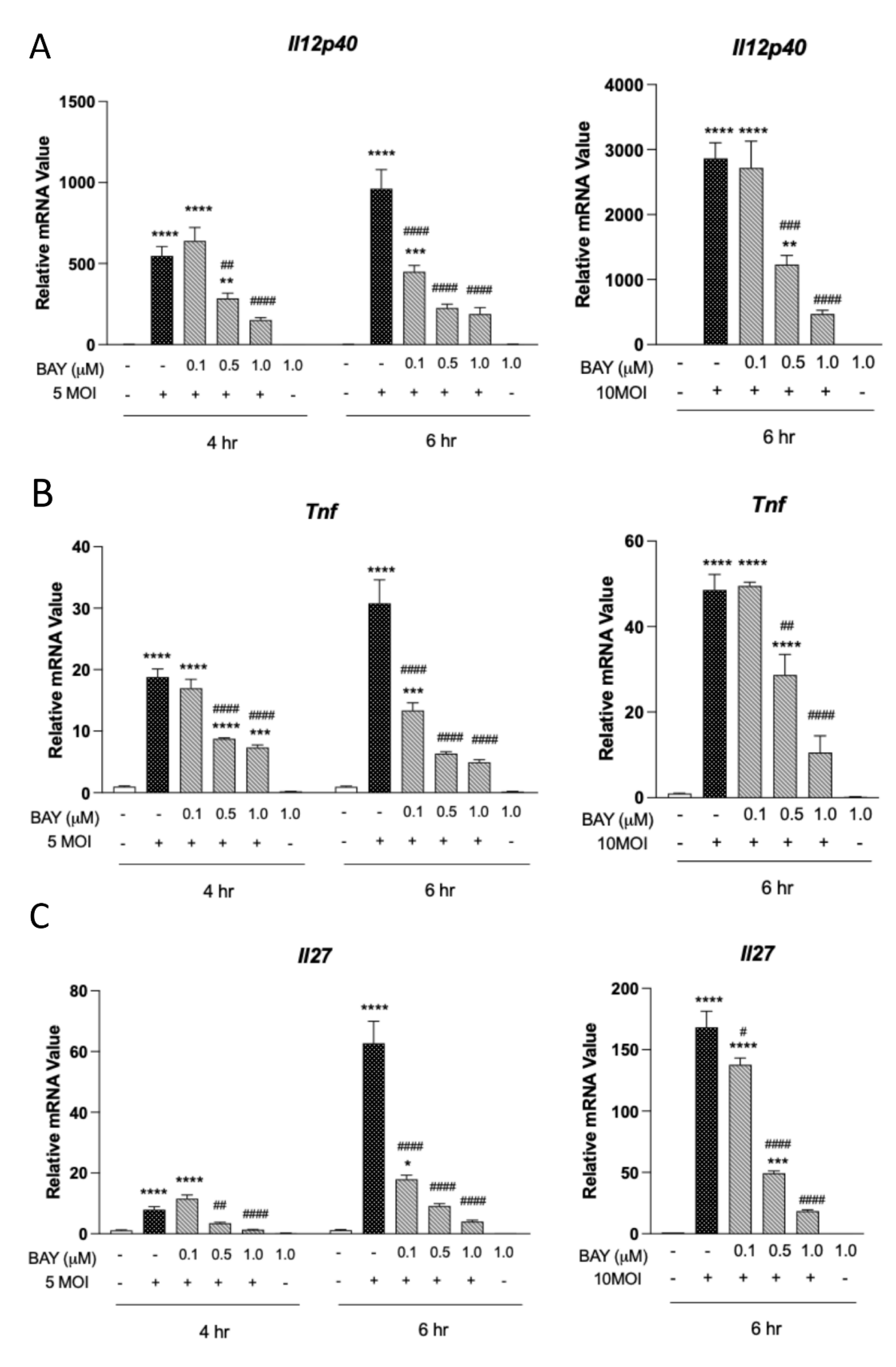 Pathogens 12 00053 g003 Pathogens 12 00053 g003