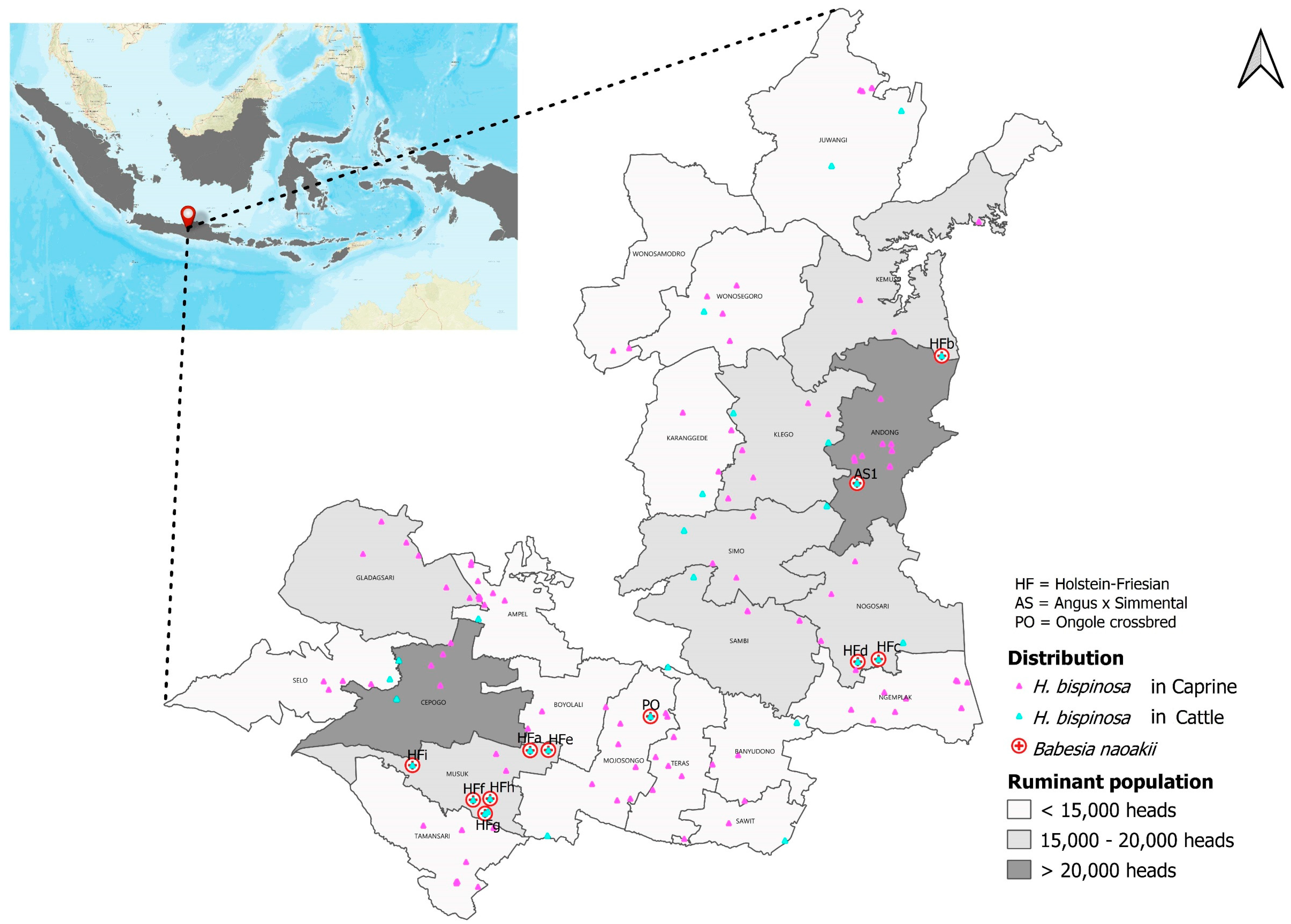 Pathogens 12 00059 g001