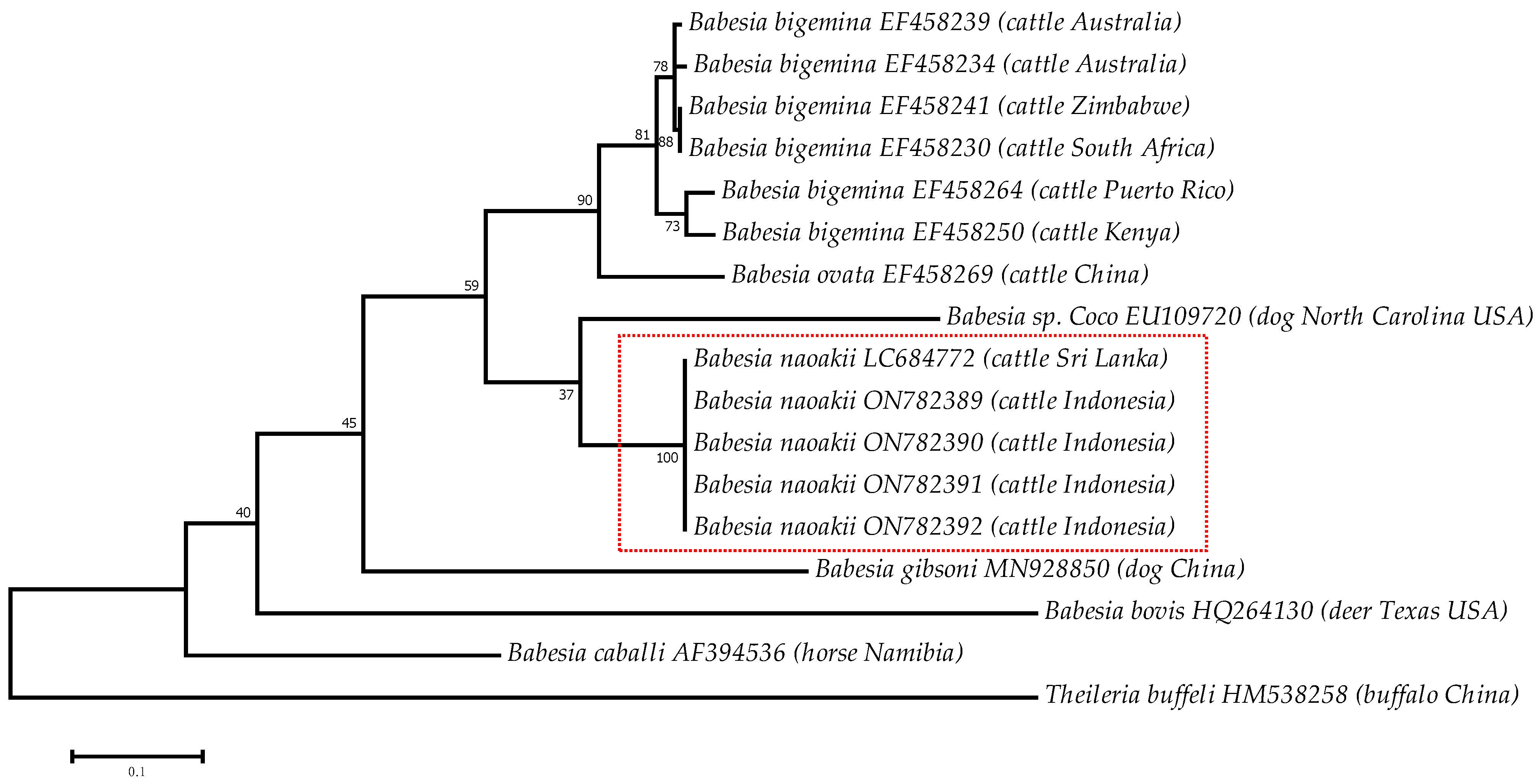 Pathogens 12 00059 g002