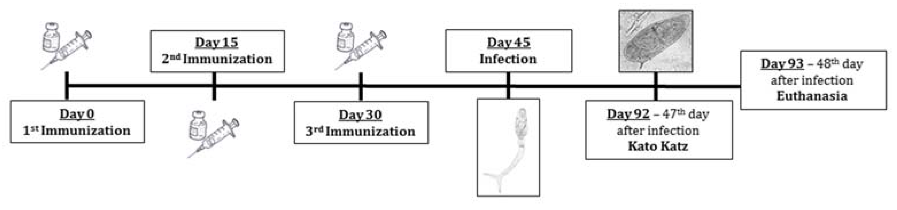 Pathogens 12 00069 g001 Pathogens 12 00069 g001