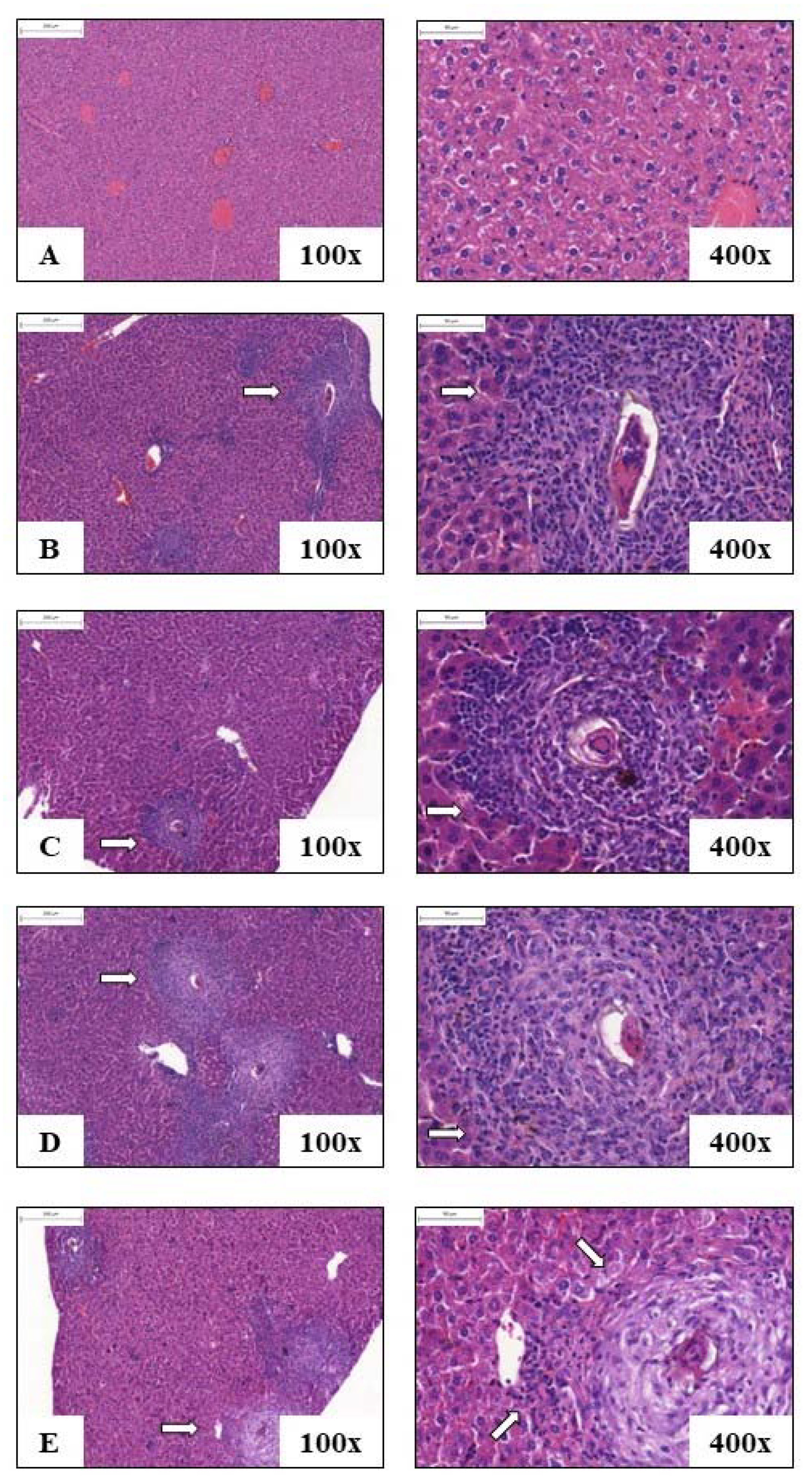 Pathogens 12 00069 g006 Pathogens 12 00069 g006