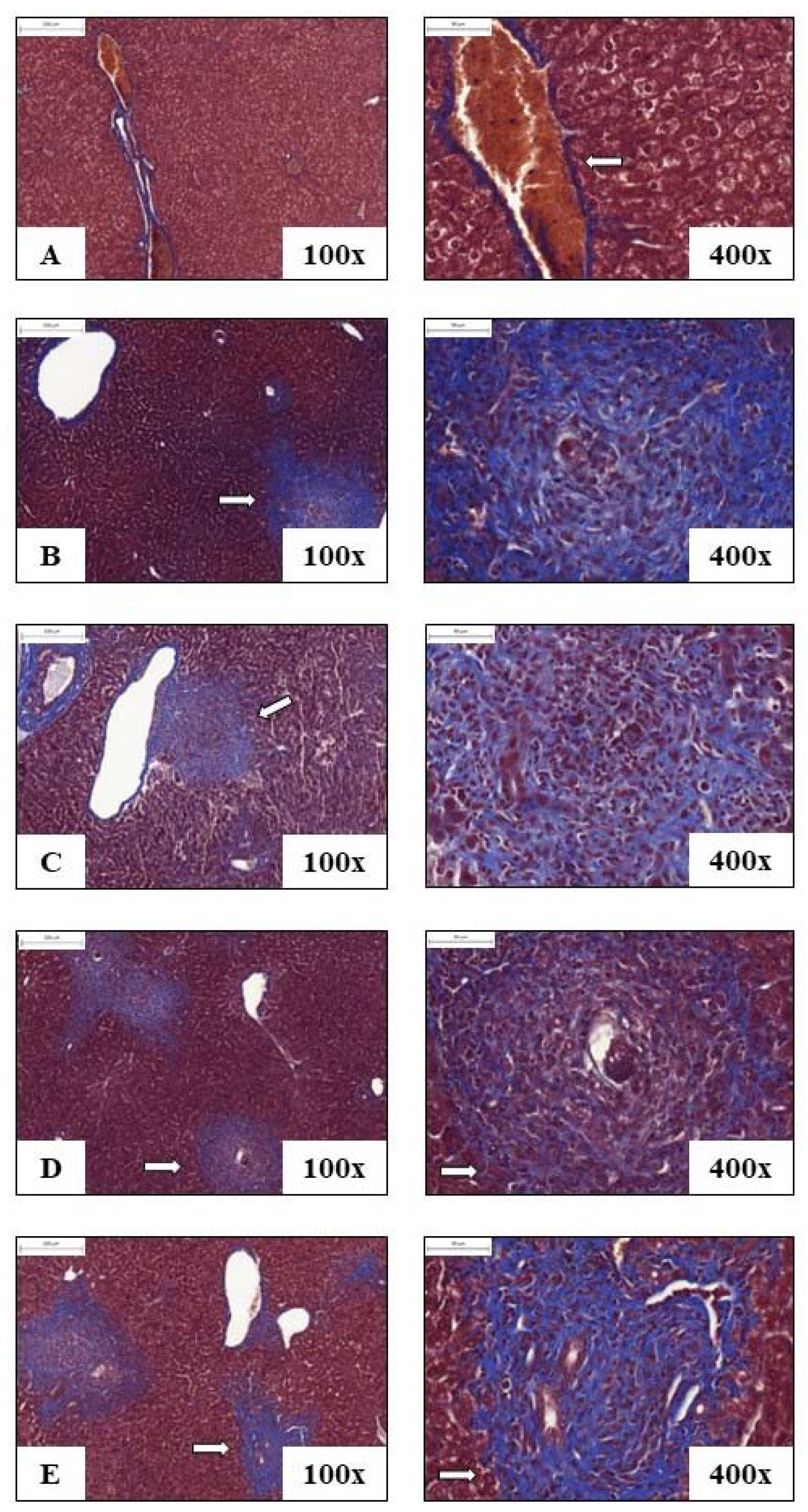 Pathogens 12 00069 g007 Pathogens 12 00069 g007