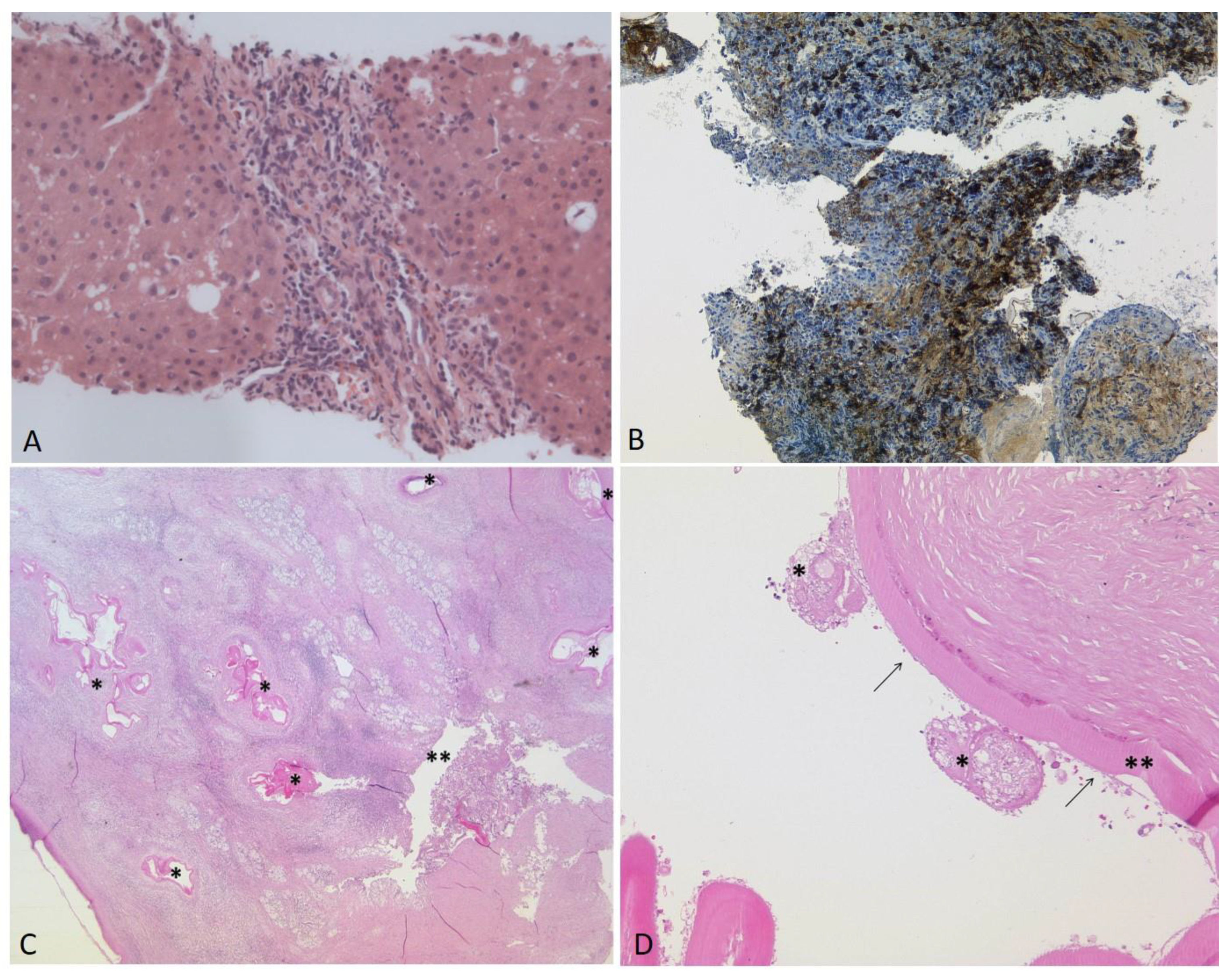 Pathogens 12 00073 g002 Pathogens 12 00073 g002