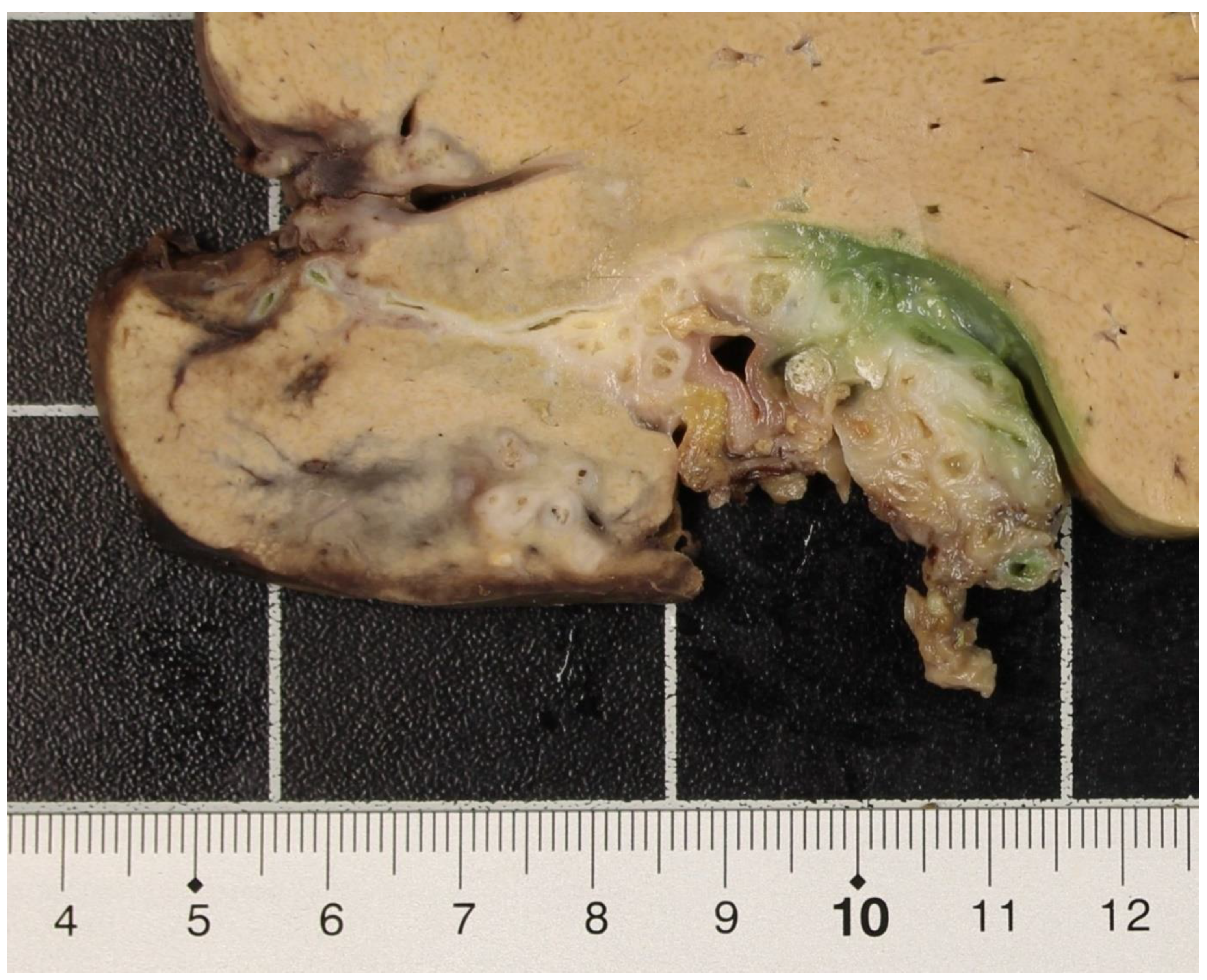 Pathogens 12 00073 g003 Pathogens 12 00073 g003