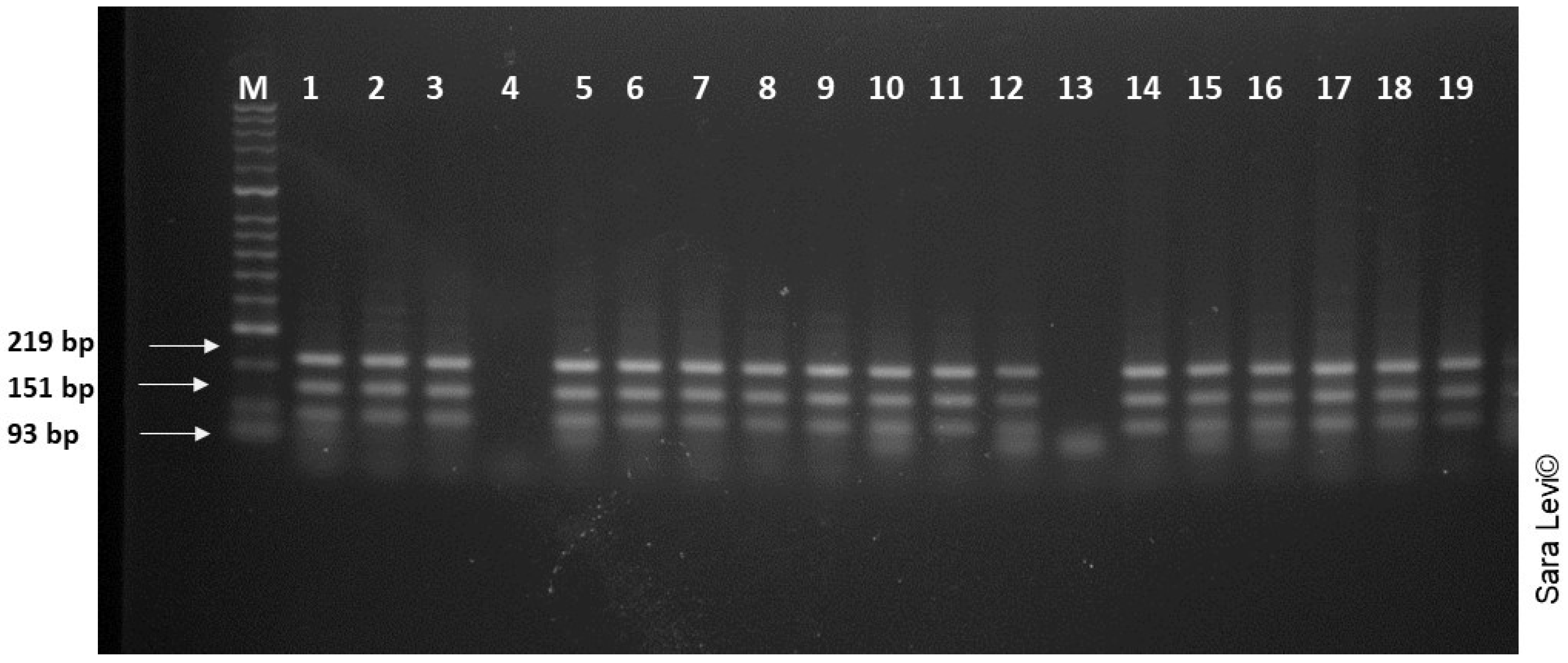 Pathogens 12 00075 g004 Pathogens 12 00075 g004