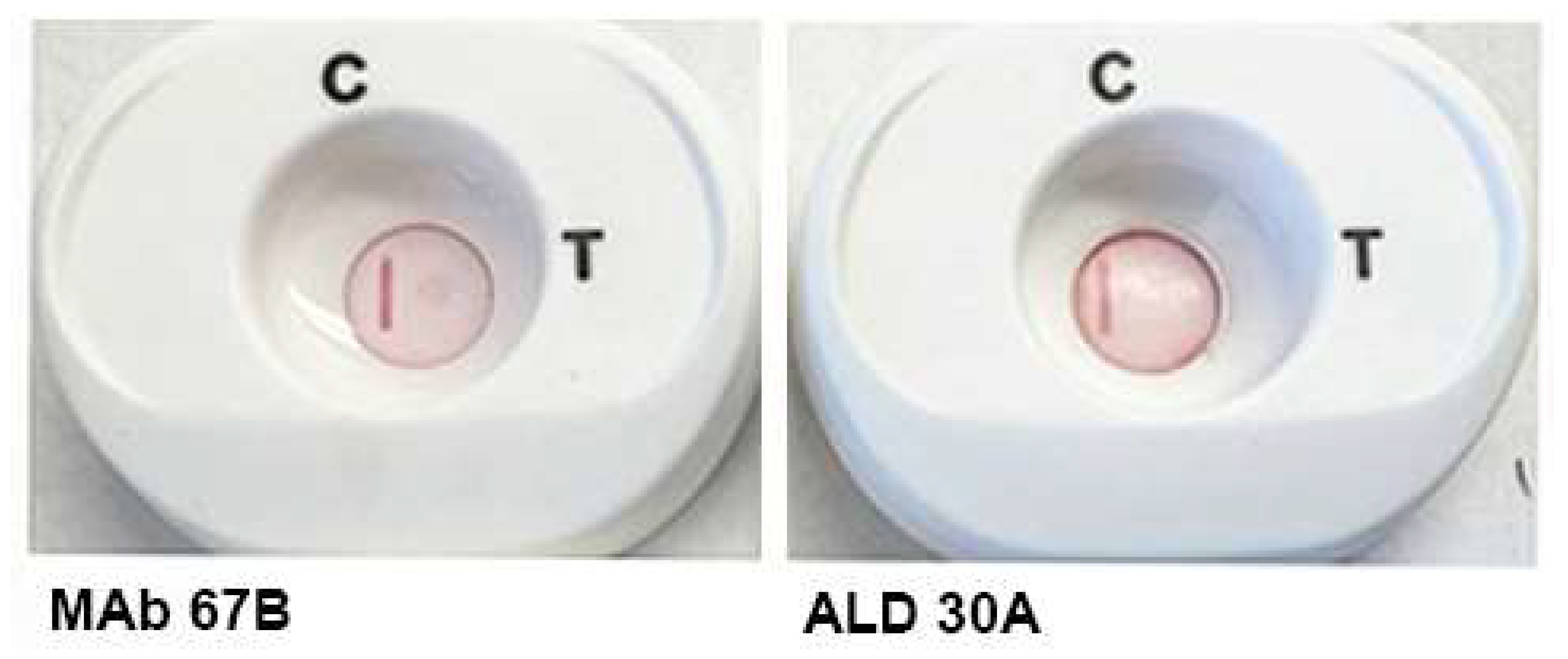 Pathogens 12 00077 g004 Pathogens 12 00077 g004