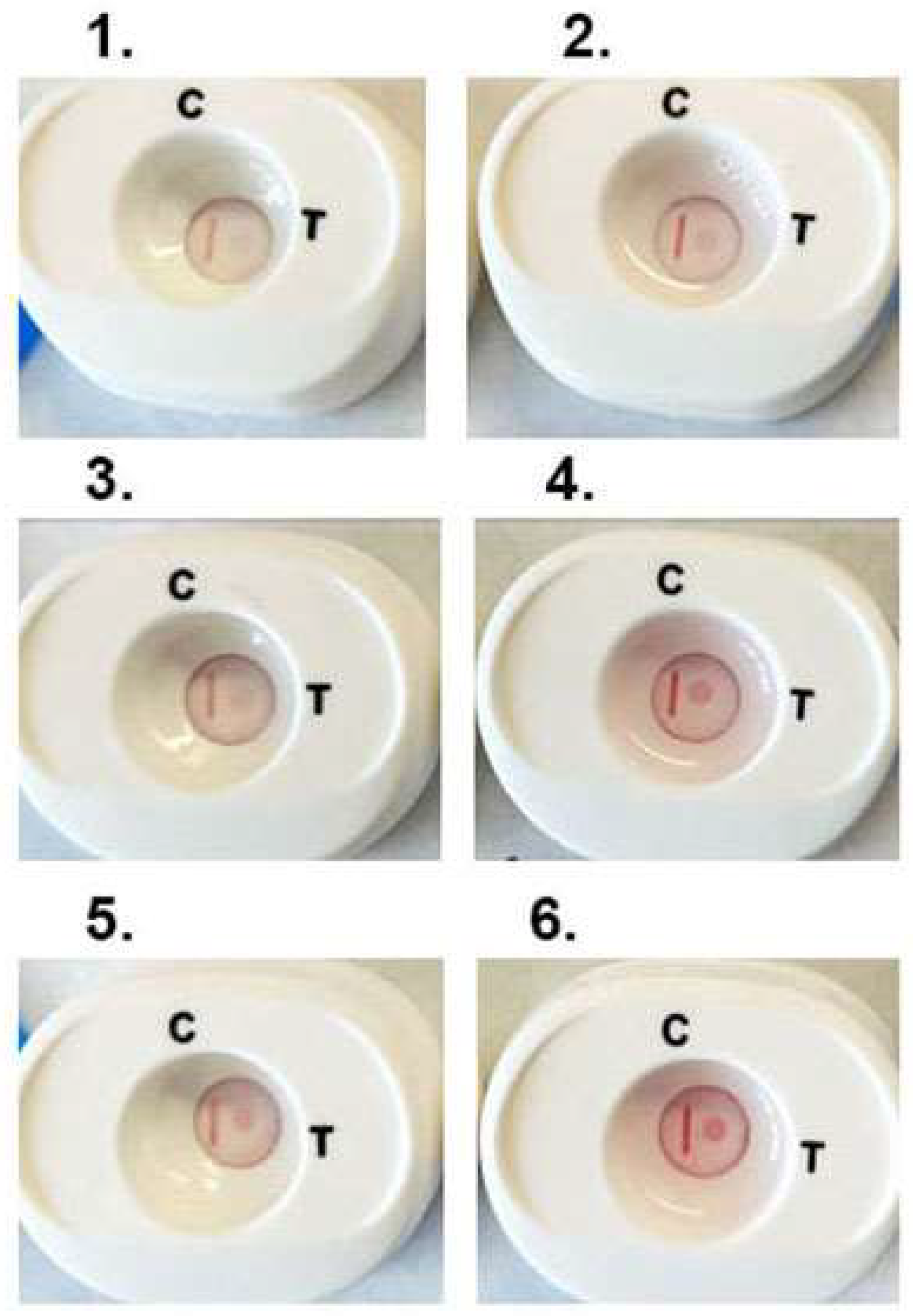Pathogens 12 00077 g005 Pathogens 12 00077 g005