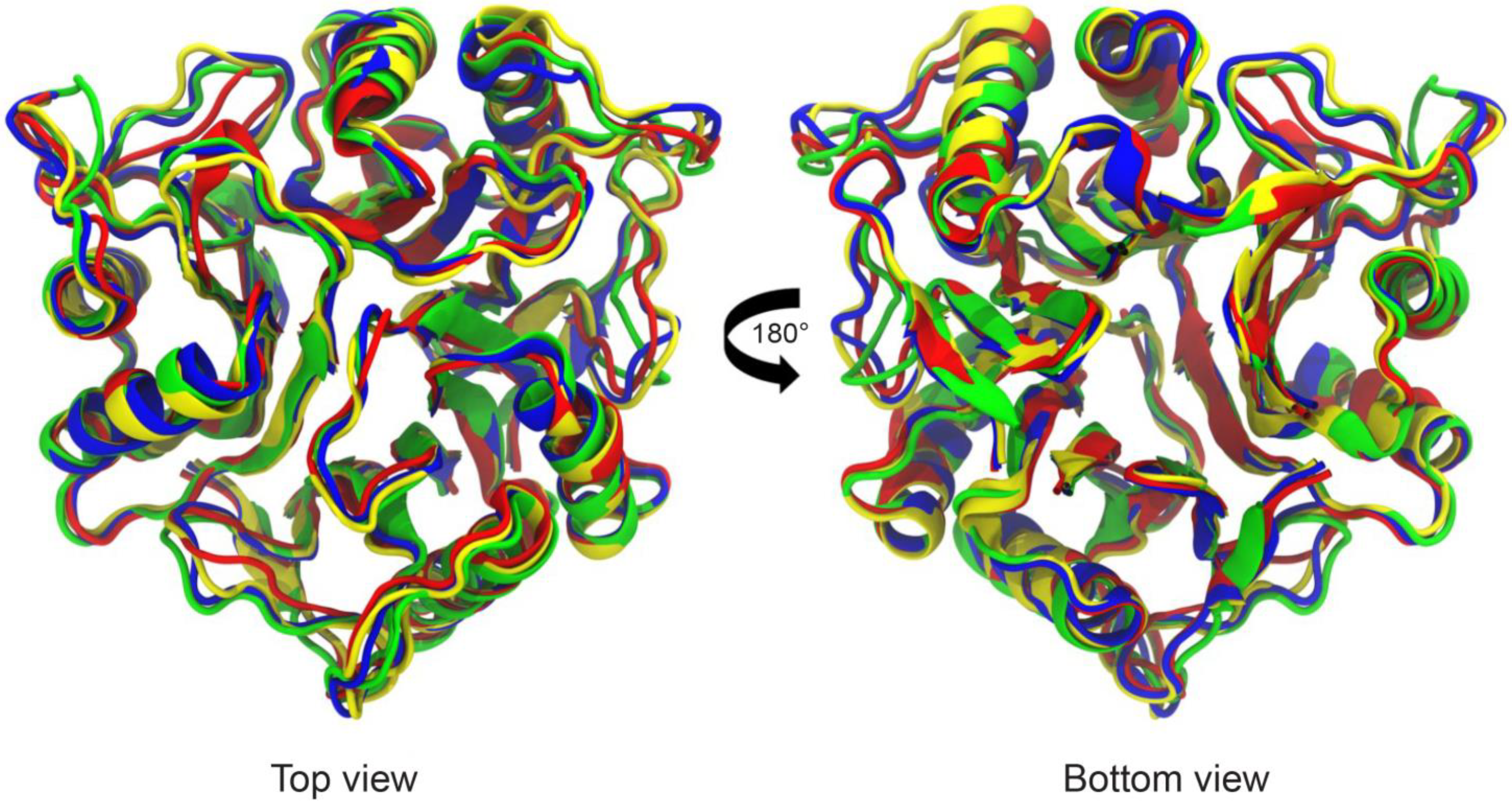 Pathogens 12 00079 g003 Pathogens 12 00079 g003