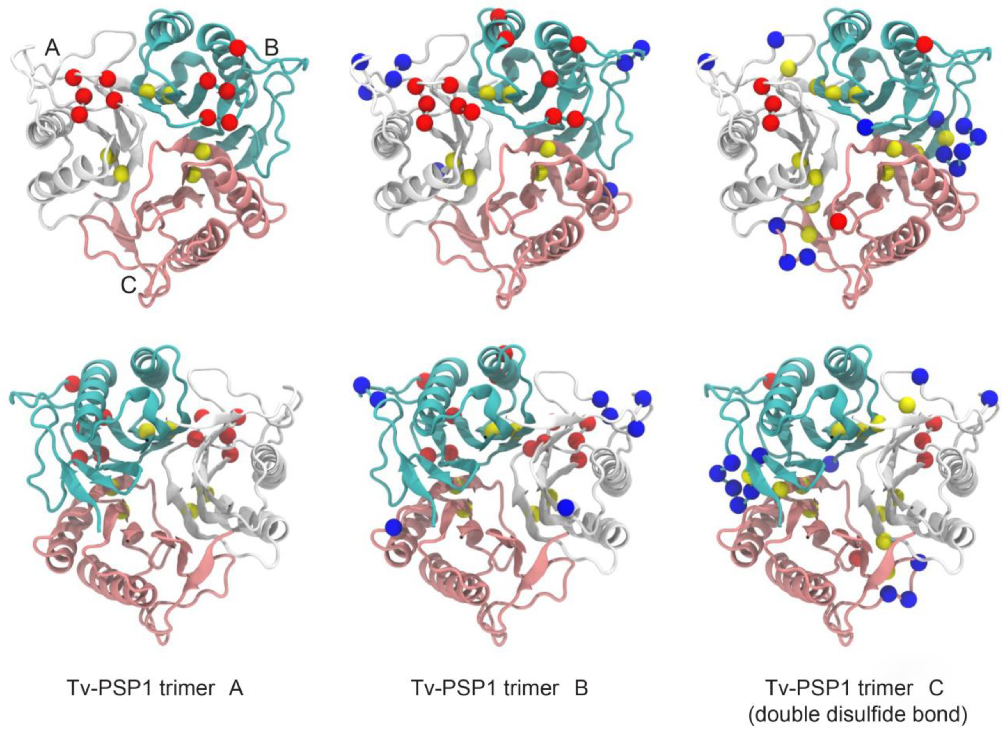 Pathogens 12 00079 g005 Pathogens 12 00079 g005