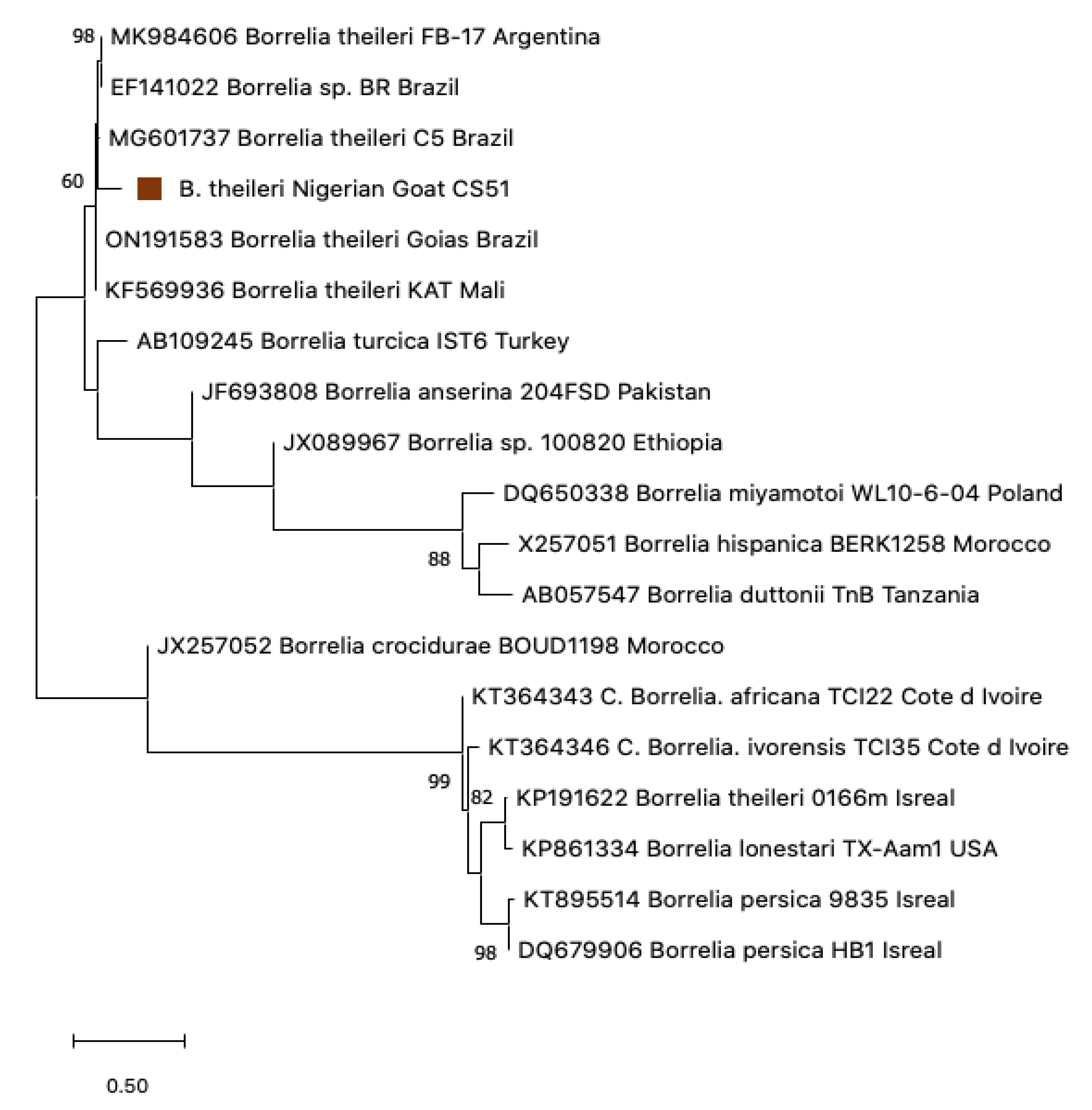 Pathogens 12 00081 g008 Pathogens 12 00081 g008