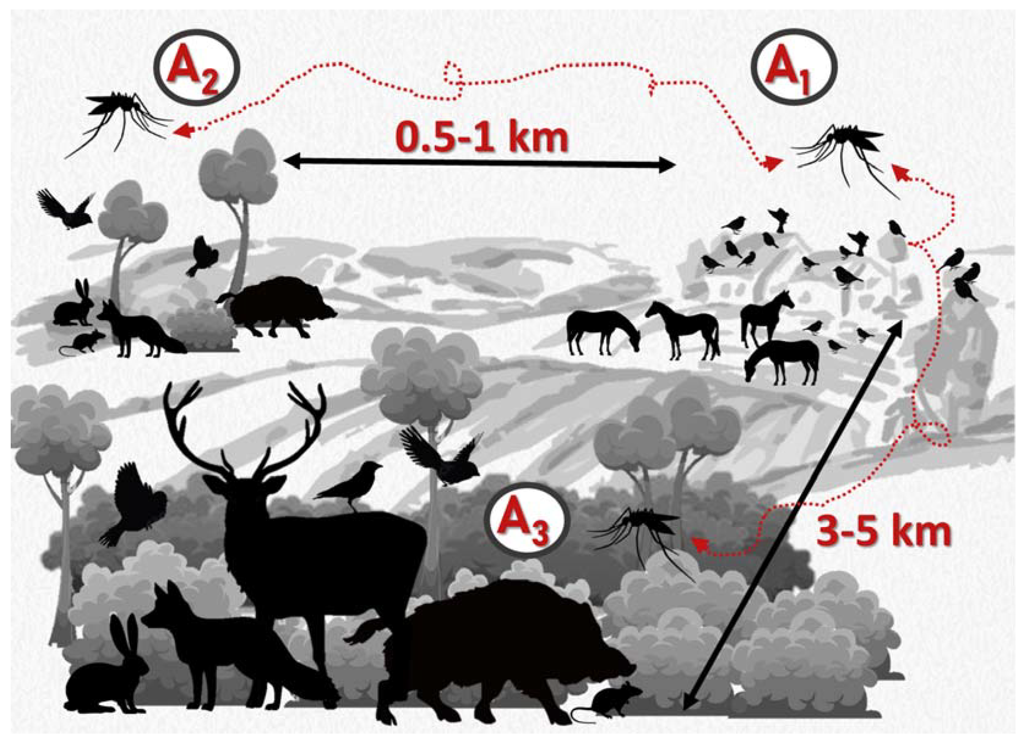 Pathogens 12 00083 g002