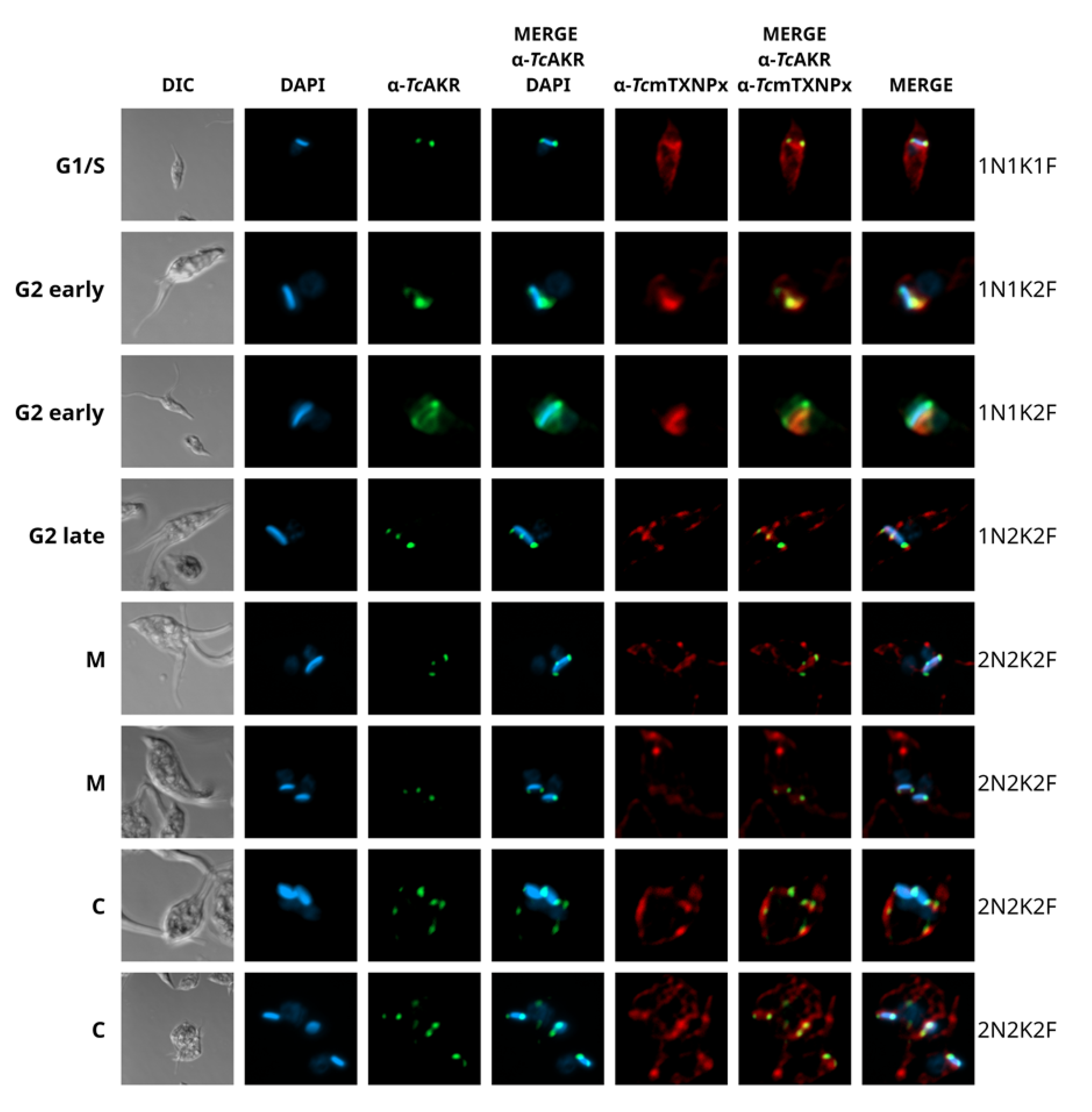 Pathogens 12 00085 g003 550